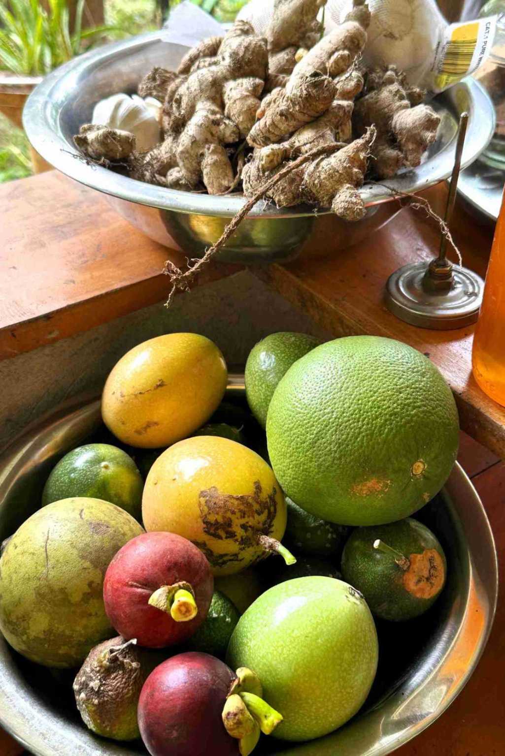 30 (2) Permaculture Farm 26 Hectares with Views & Primary Jungle in Chacarita near Palmar Norte Costa Rica