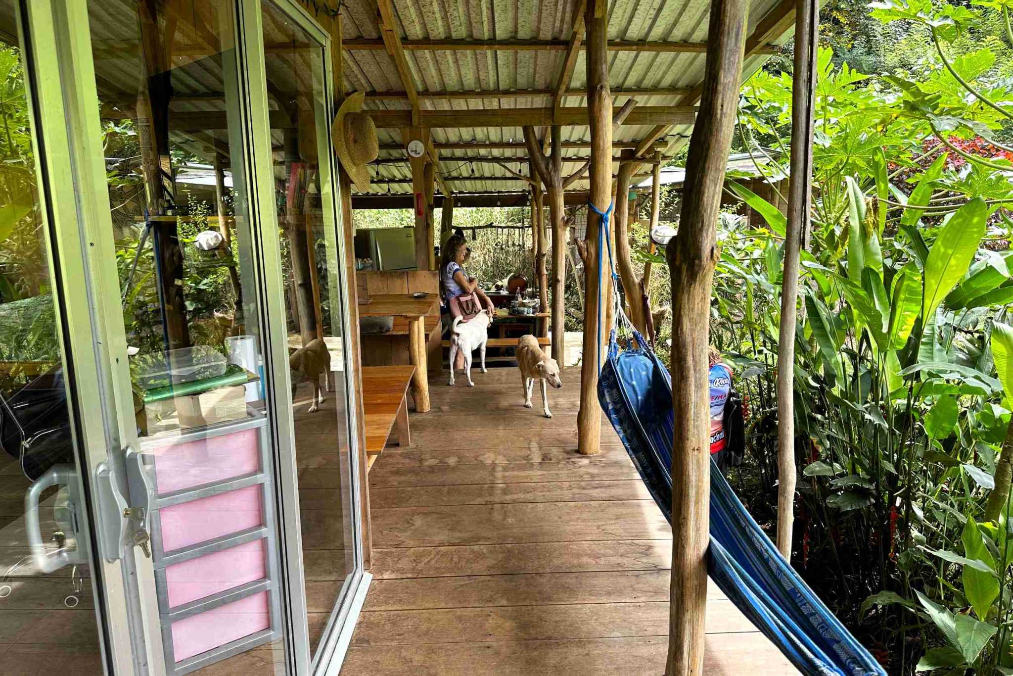 34 (7) Permaculture Farm 26 Hectares with Views & Primary Jungle in Chacarita near Palmar Norte Costa Rica