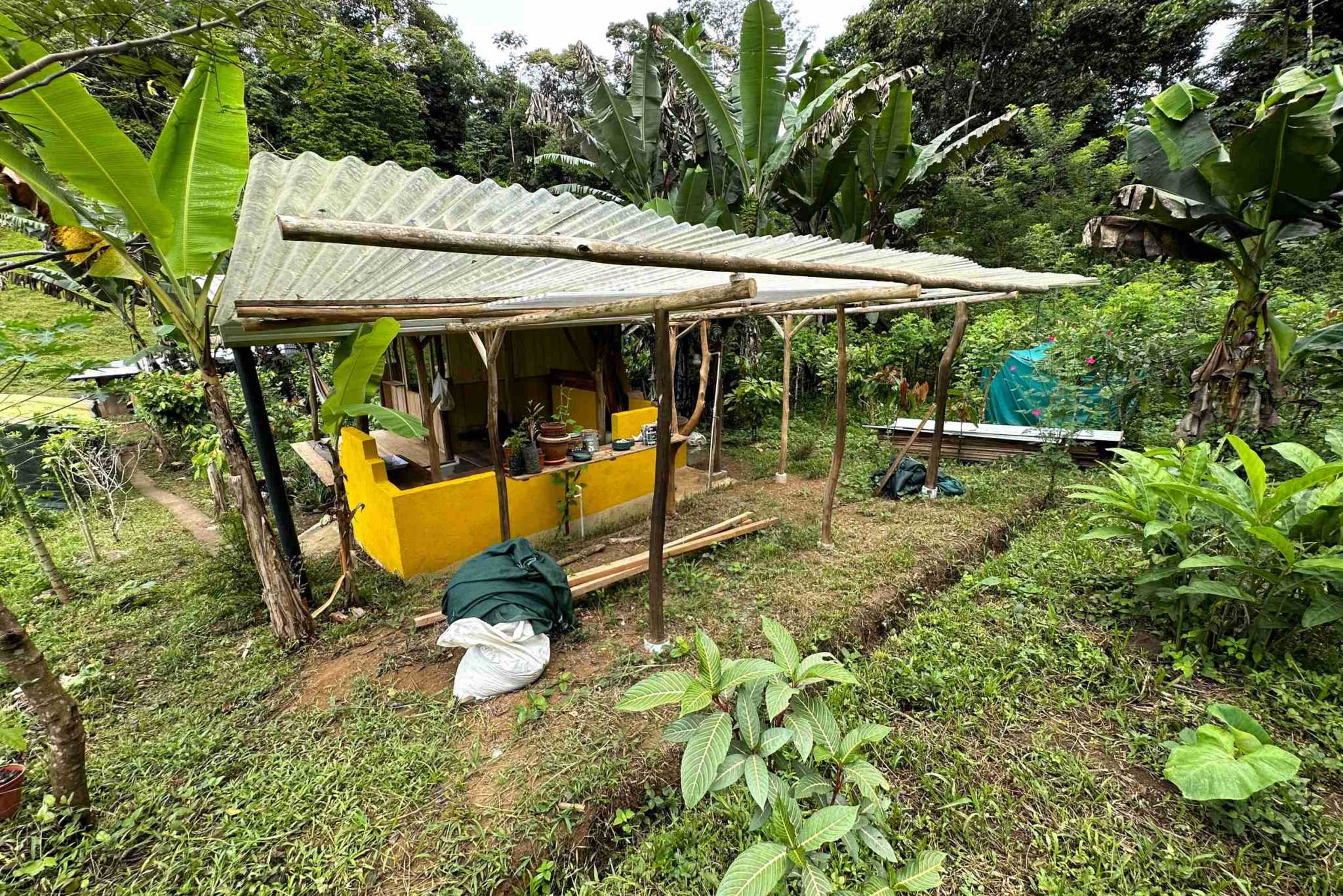 37 (5) Permaculture Farm 26 Hectares with Views & Primary Jungle in Chacarita near Palmar Norte Costa Rica