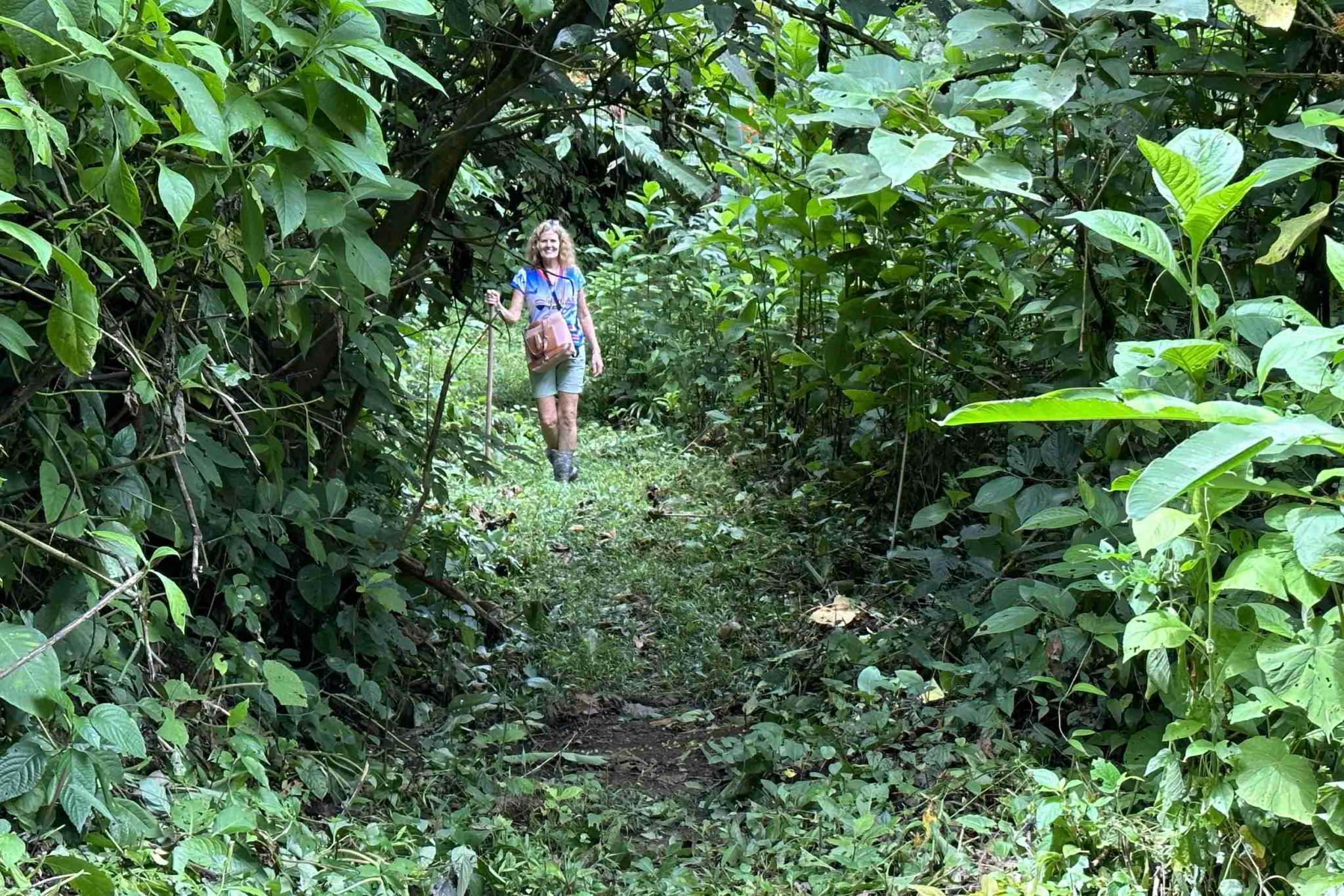 40 (1) Permaculture Farm 26 Hectares with Views & Primary Jungle in Chacarita near Palmar Norte Costa Rica