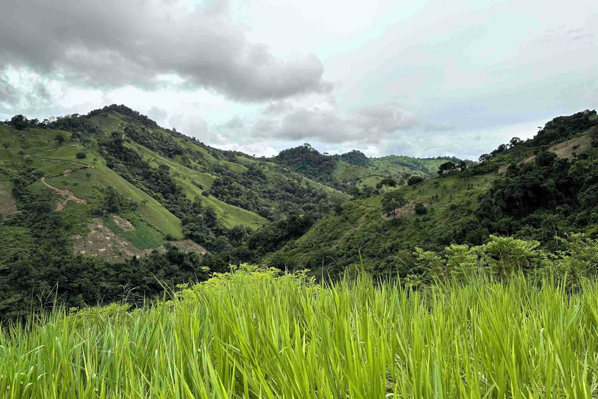 41 (1) Permaculture Farm 26 Hectares with Views & Primary Jungle in Chacarita near Palmar Norte Costa Rica