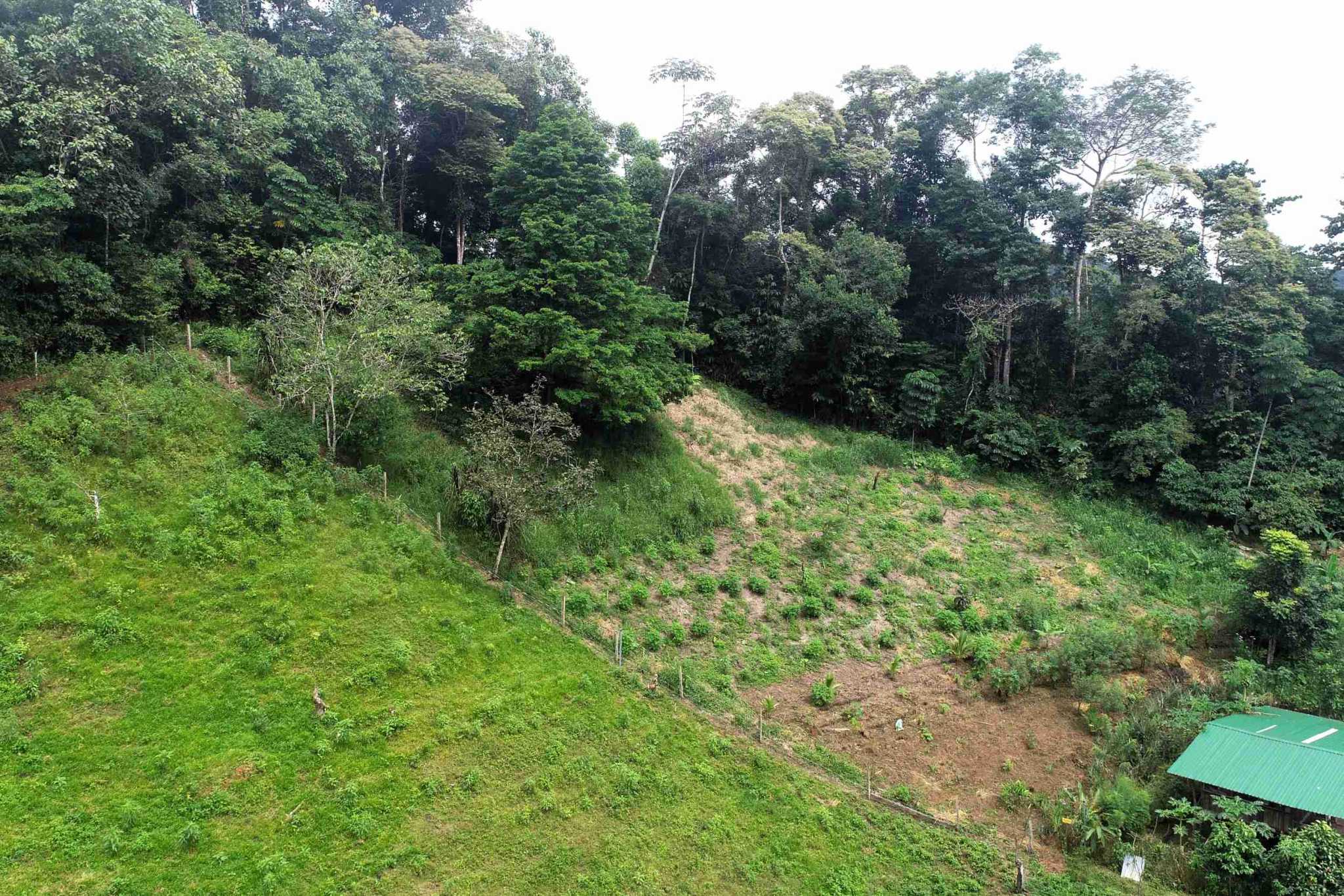 44 (1) Permaculture Farm 26 Hectares with Views & Primary Jungle in Chacarita near Palmar Norte Costa Rica