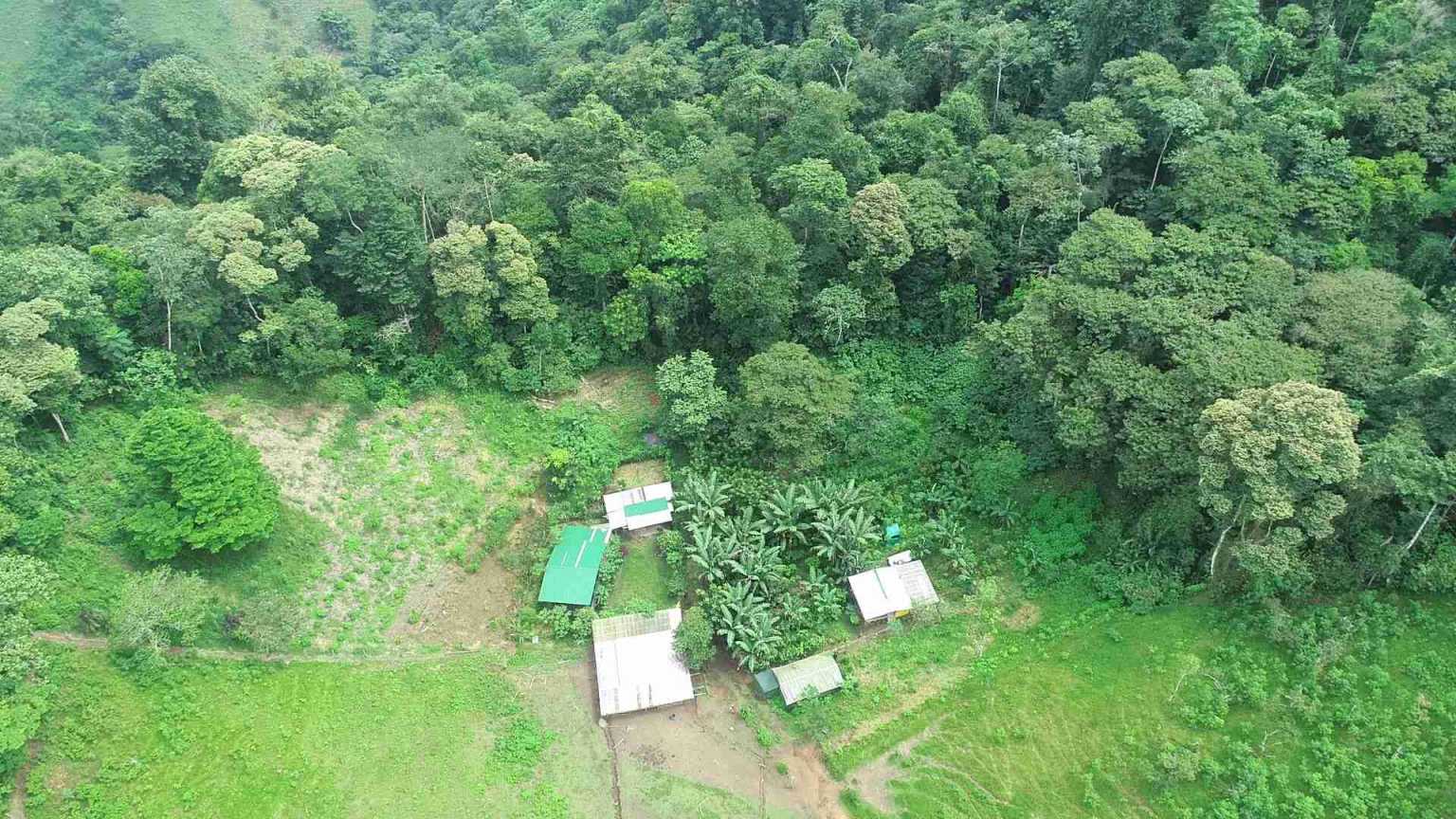 44 (3) Permaculture Farm 26 Hectares with Views & Primary Jungle in Chacarita near Palmar Norte Costa Rica