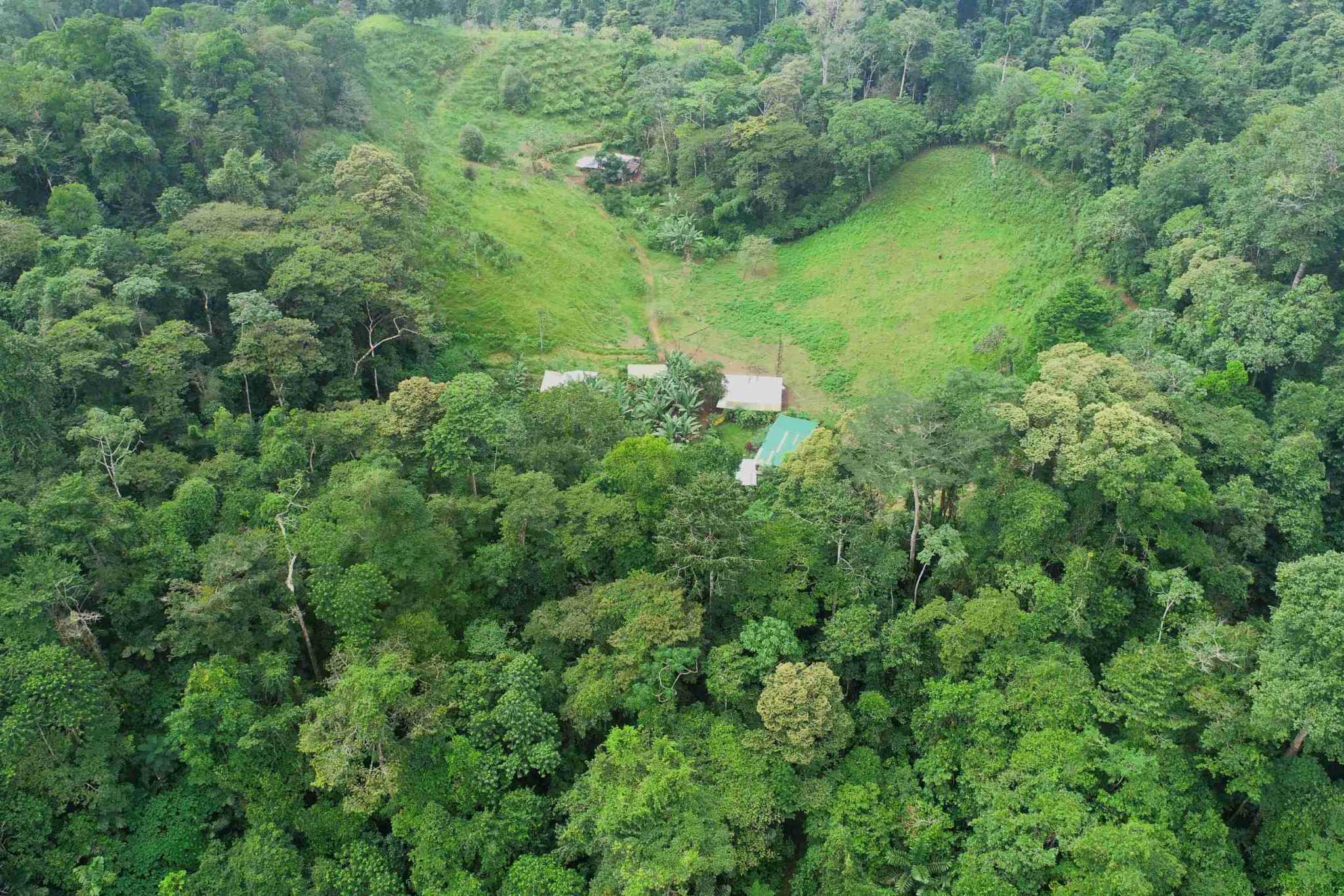 50 (1) Permaculture Farm 26 Hectares with Views & Primary Jungle in Chacarita near Palmar Norte Costa Rica