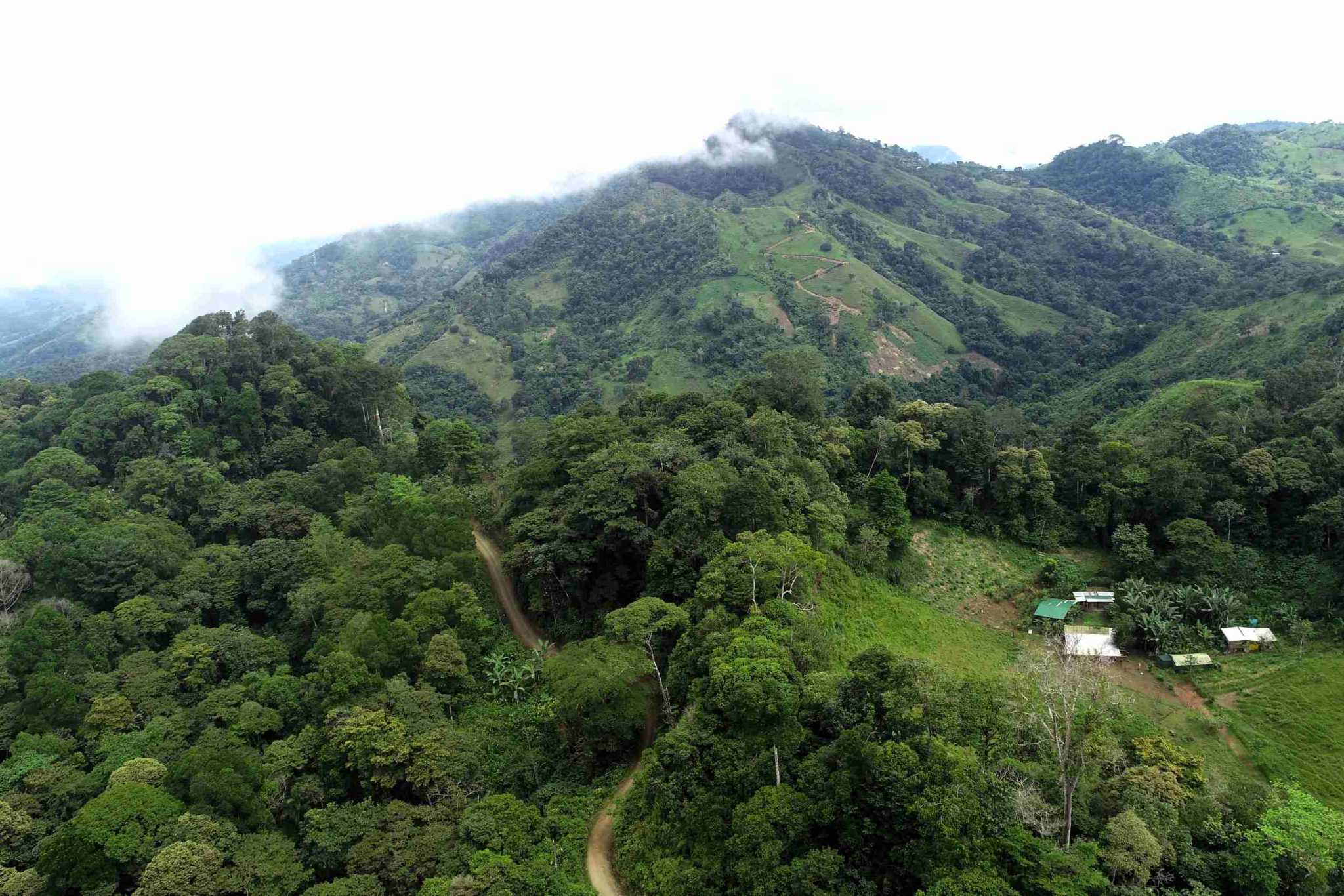 50 (5) Permaculture Farm 26 Hectares with Views & Primary Jungle in Chacarita near Palmar Norte Costa Rica