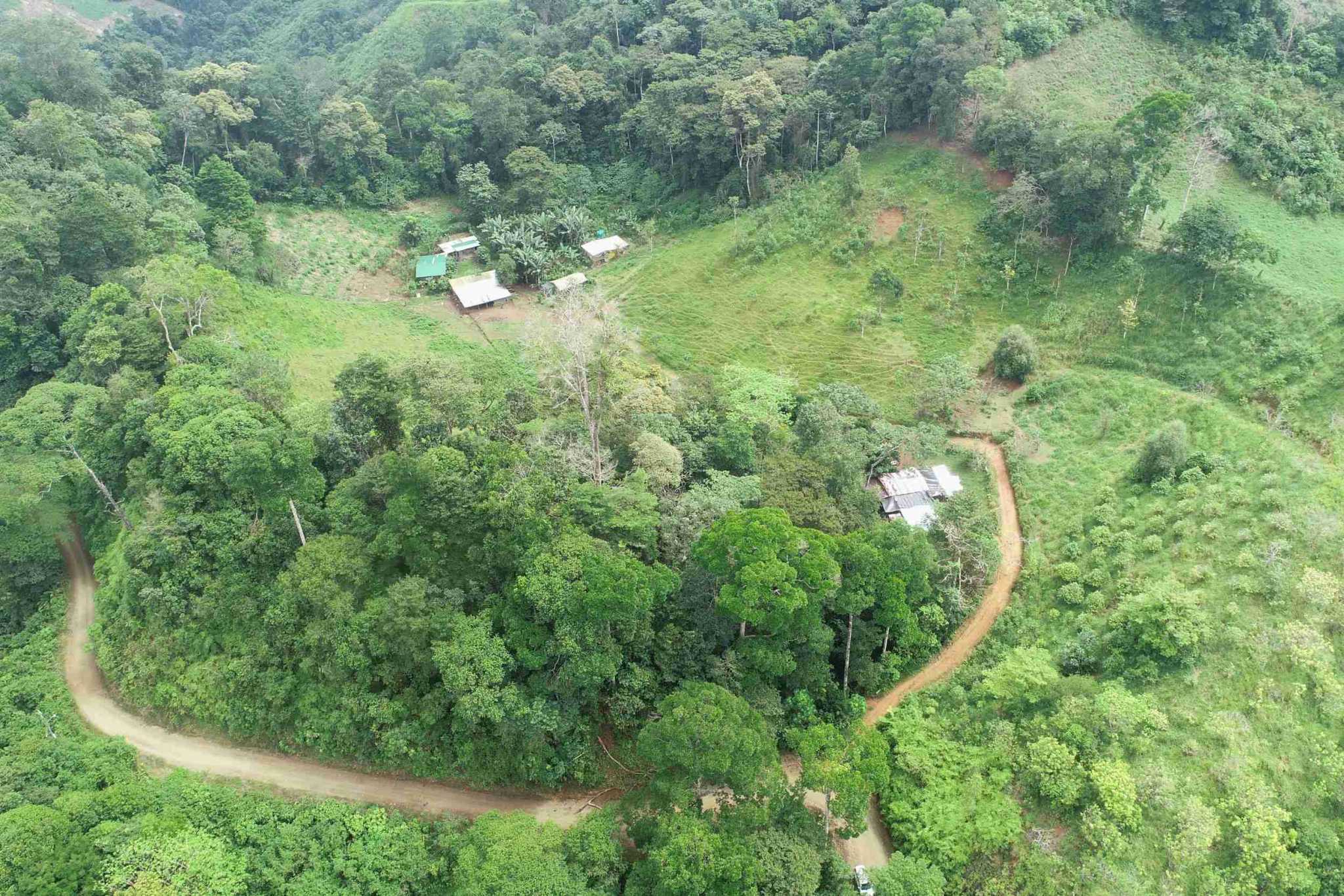 50 (7) Permaculture Farm 26 Hectares with Views & Primary Jungle in Chacarita near Palmar Norte Costa Rica
