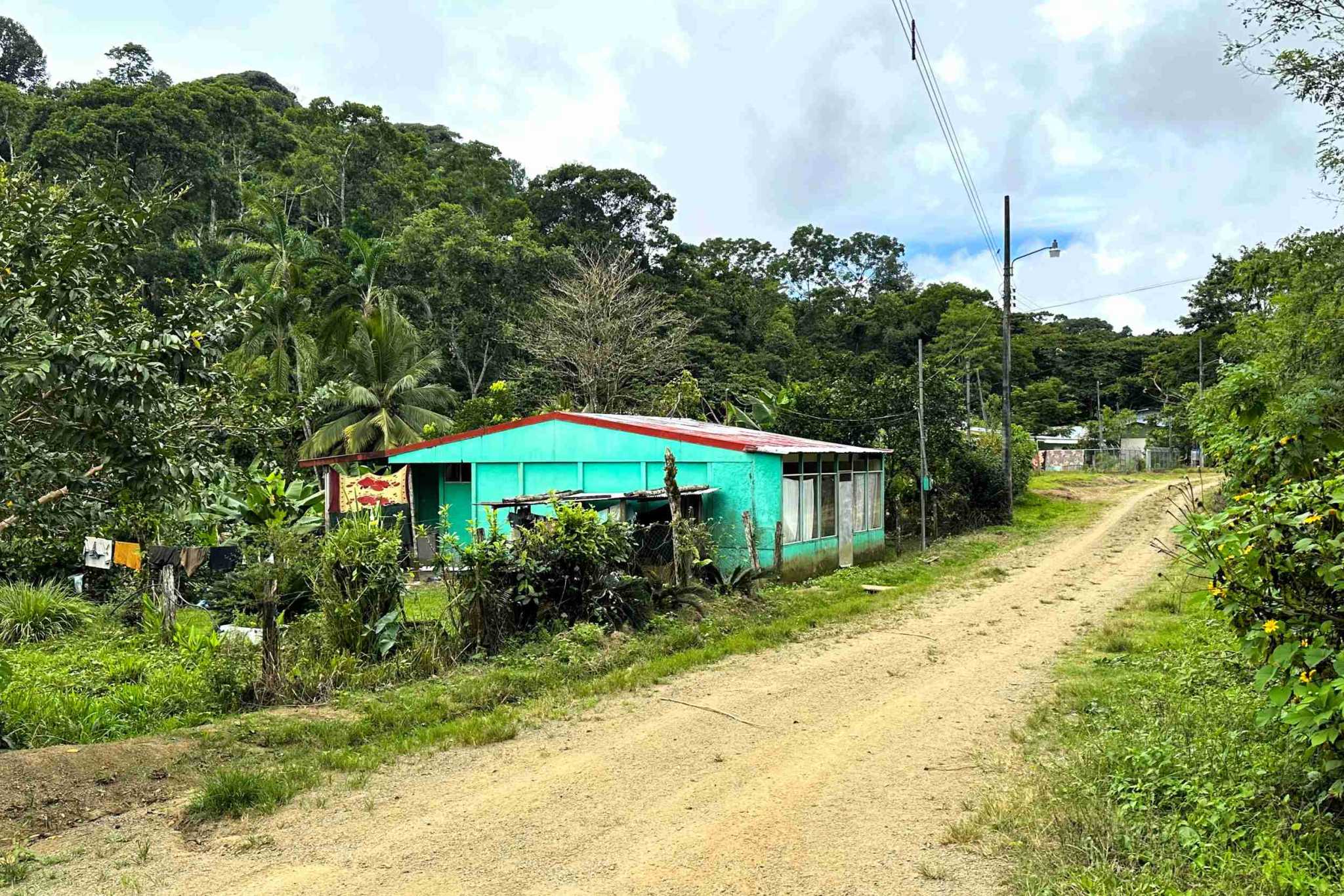 50 (9) Permaculture Farm 26 Hectares with Views & Primary Jungle in Chacarita near Palmar Norte Costa Rica