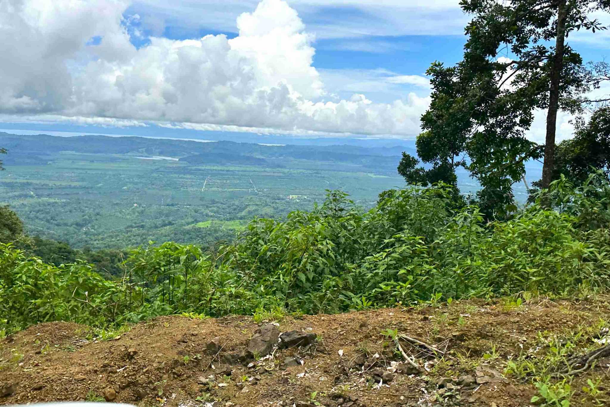 50 (10) Permaculture Farm 26 Hectares with Views & Primary Jungle in Chacarita near Palmar Norte Costa Rica