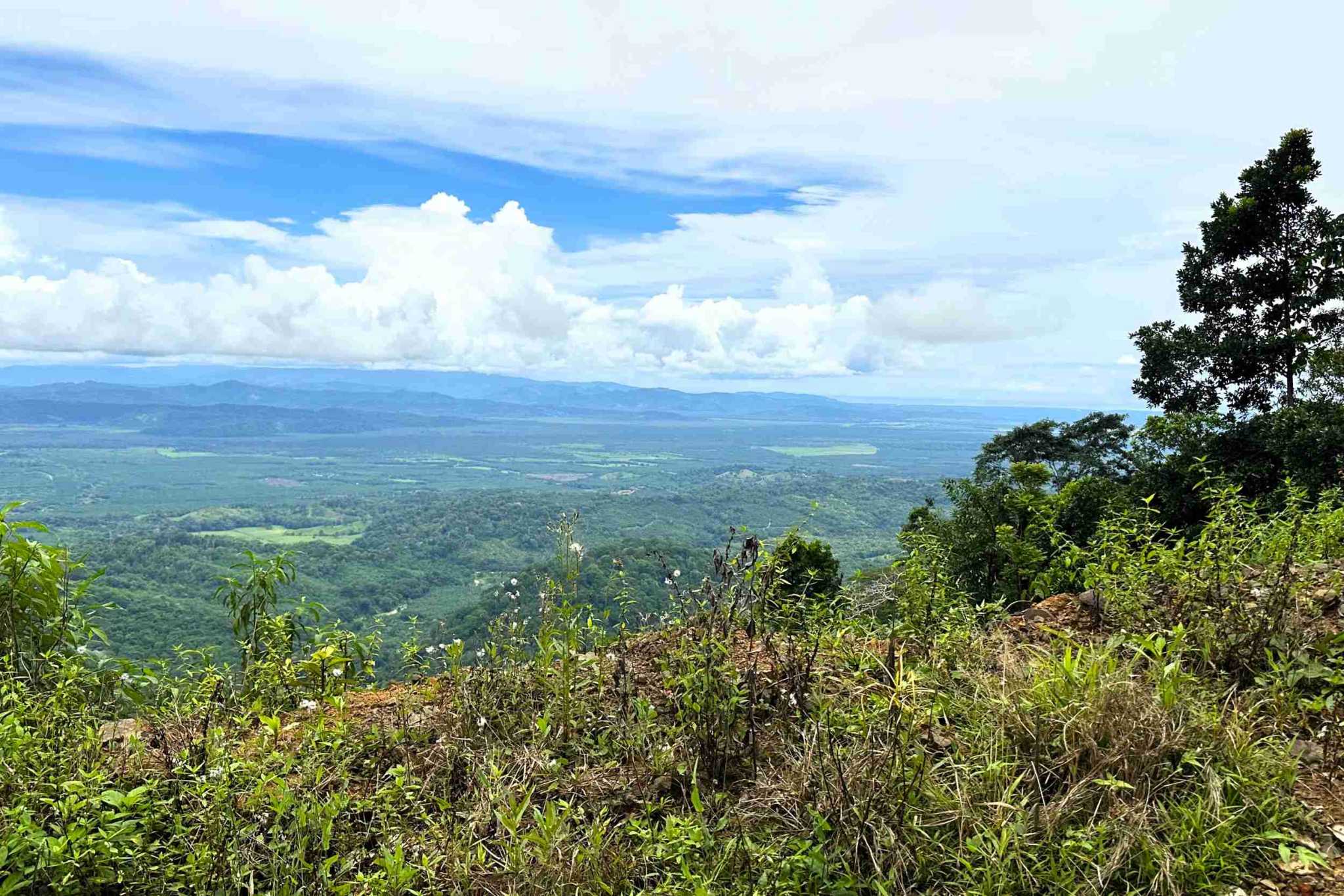 1 (2) Permaculture Farm 26 Hectares with Views & Primary Jungle in Chacarita near Palmar Norte Costa Rica