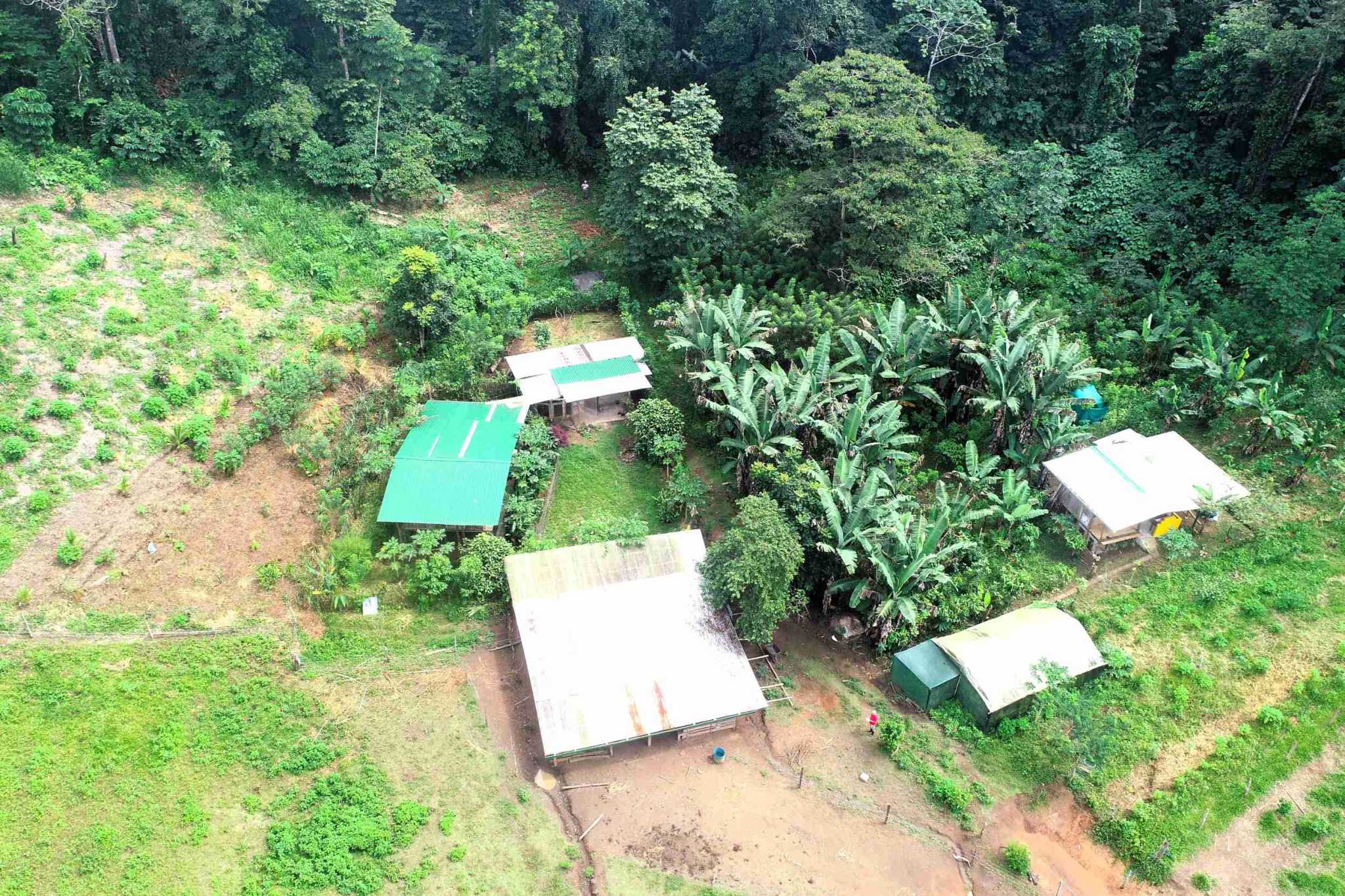 2 Permaculture Farm 26 Hectares with Views & Primary Jungle in Chacarita near Palmar Norte Costa Rica