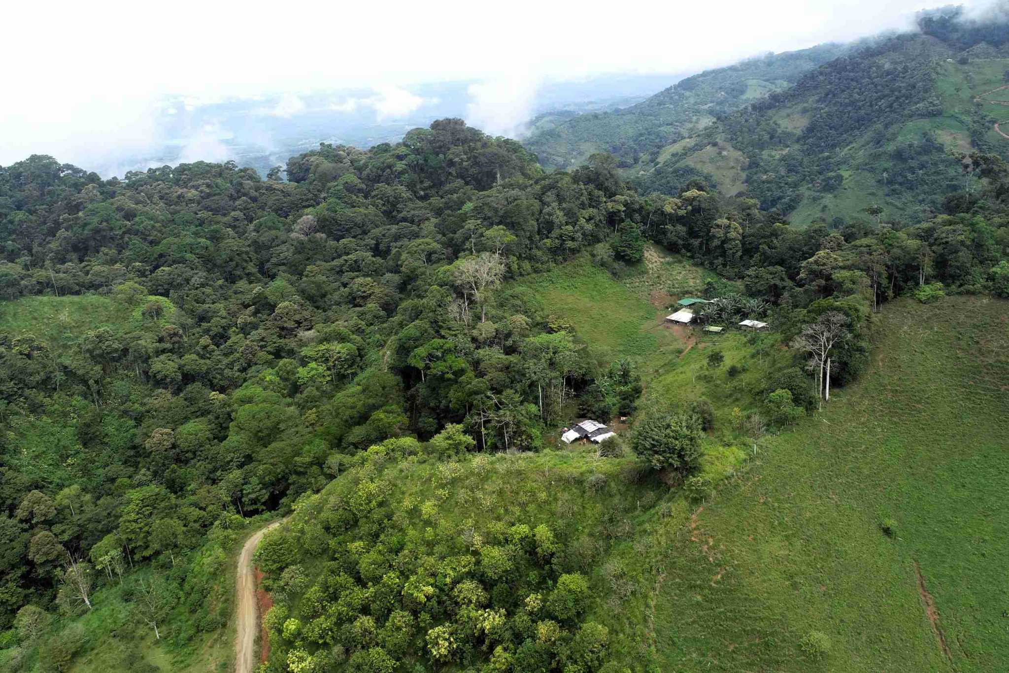 4 Permaculture Farm 26 Hectares with Views & Primary Jungle in Chacarita near Palmar Norte Costa Rica
