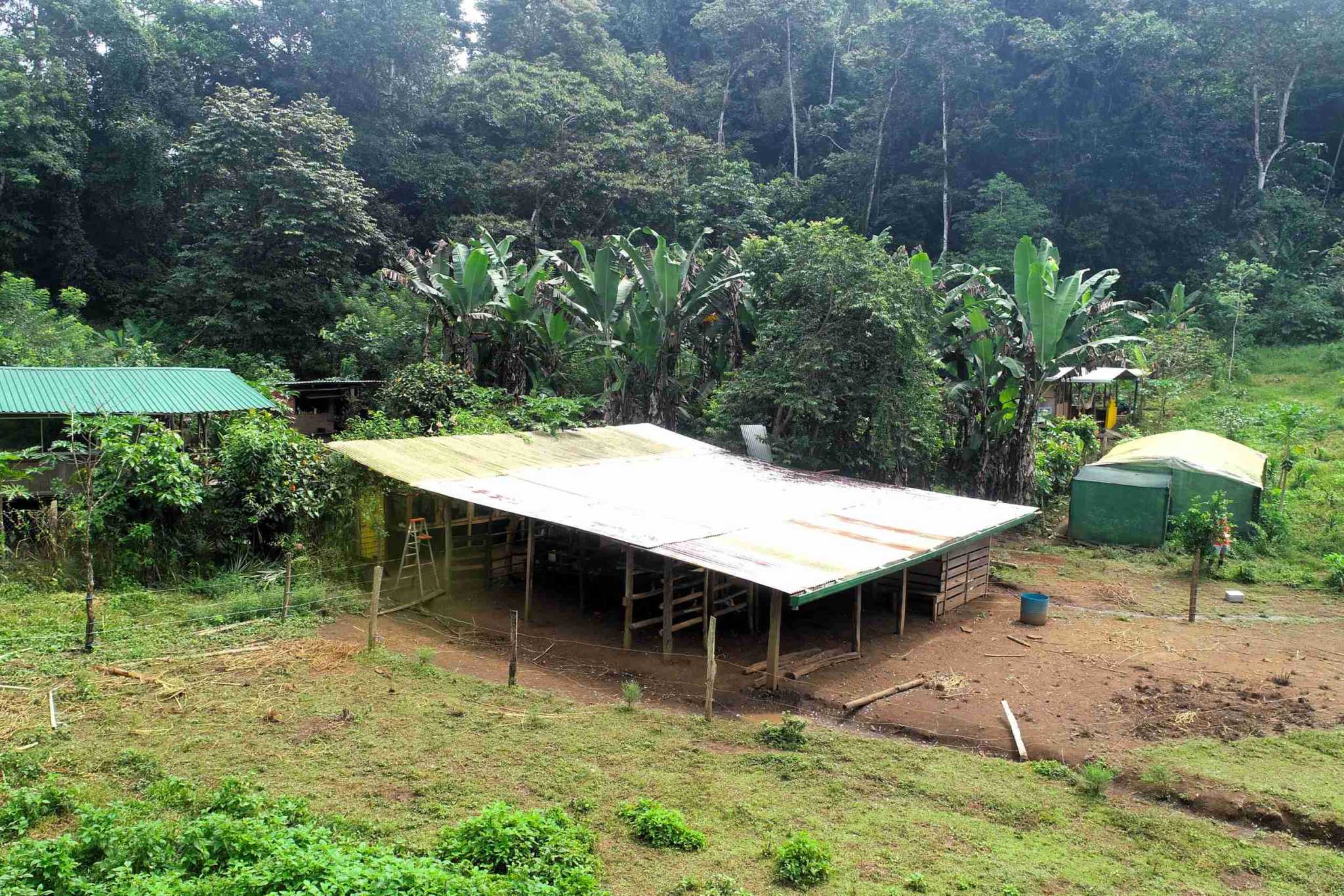 7 (1) Permaculture Farm 26 Hectares with Views & Primary Jungle in Chacarita near Palmar Norte Costa Rica