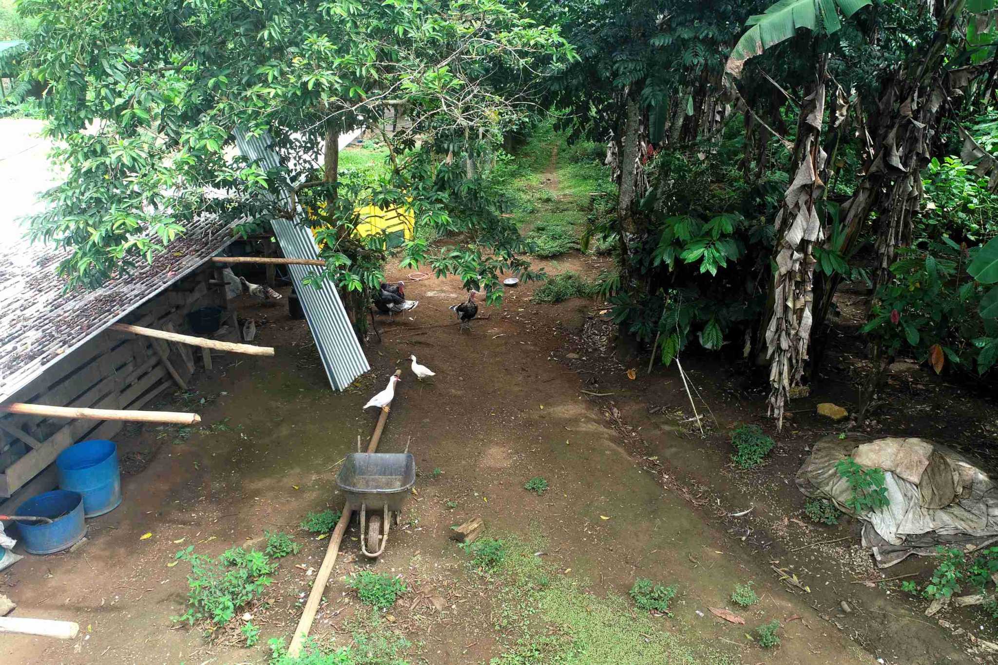 7 (2) Permaculture Farm 26 Hectares with Views & Primary Jungle in Chacarita near Palmar Norte Costa Rica