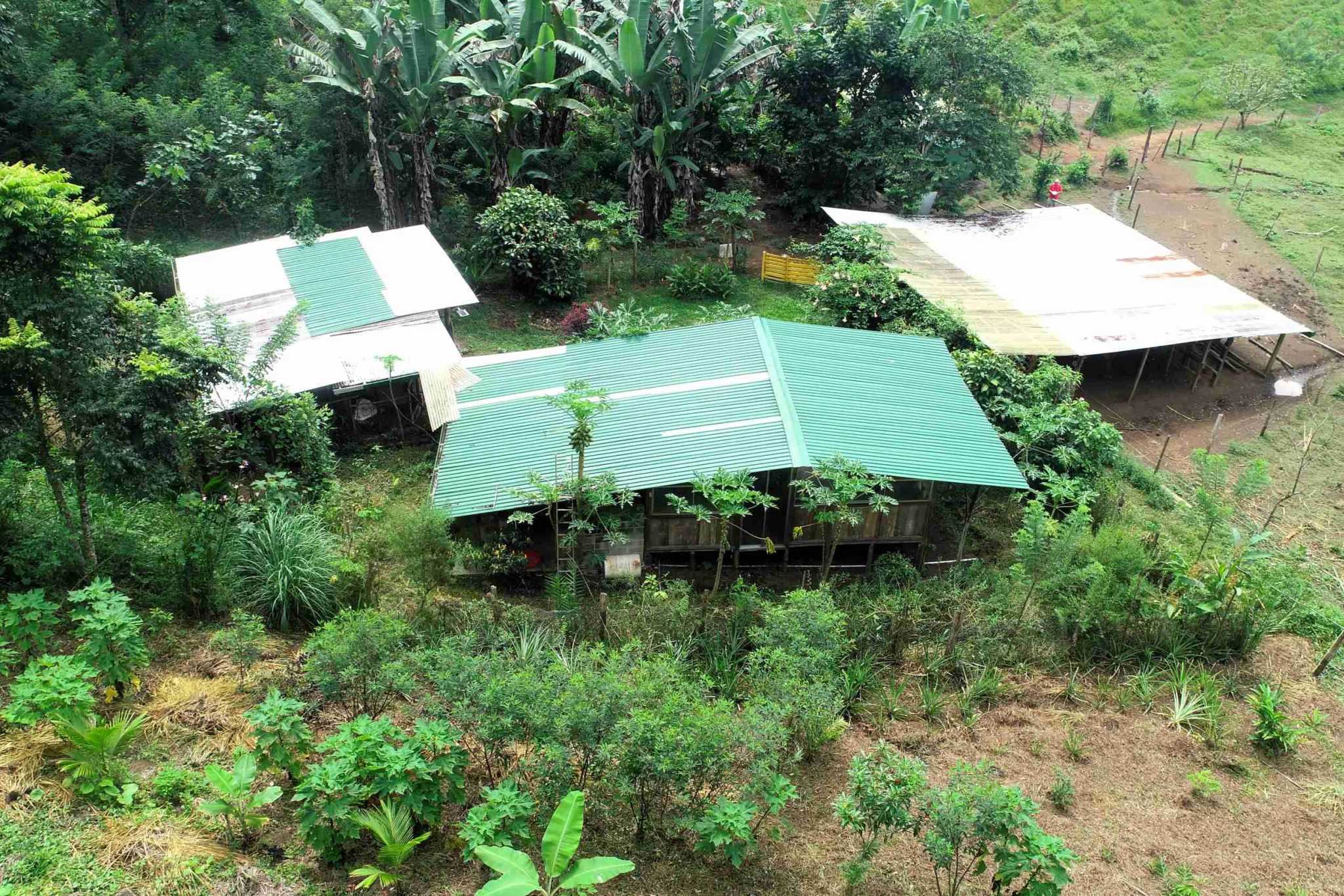 7 (3) Permaculture Farm 26 Hectares with Views & Primary Jungle in Chacarita near Palmar Norte Costa Rica