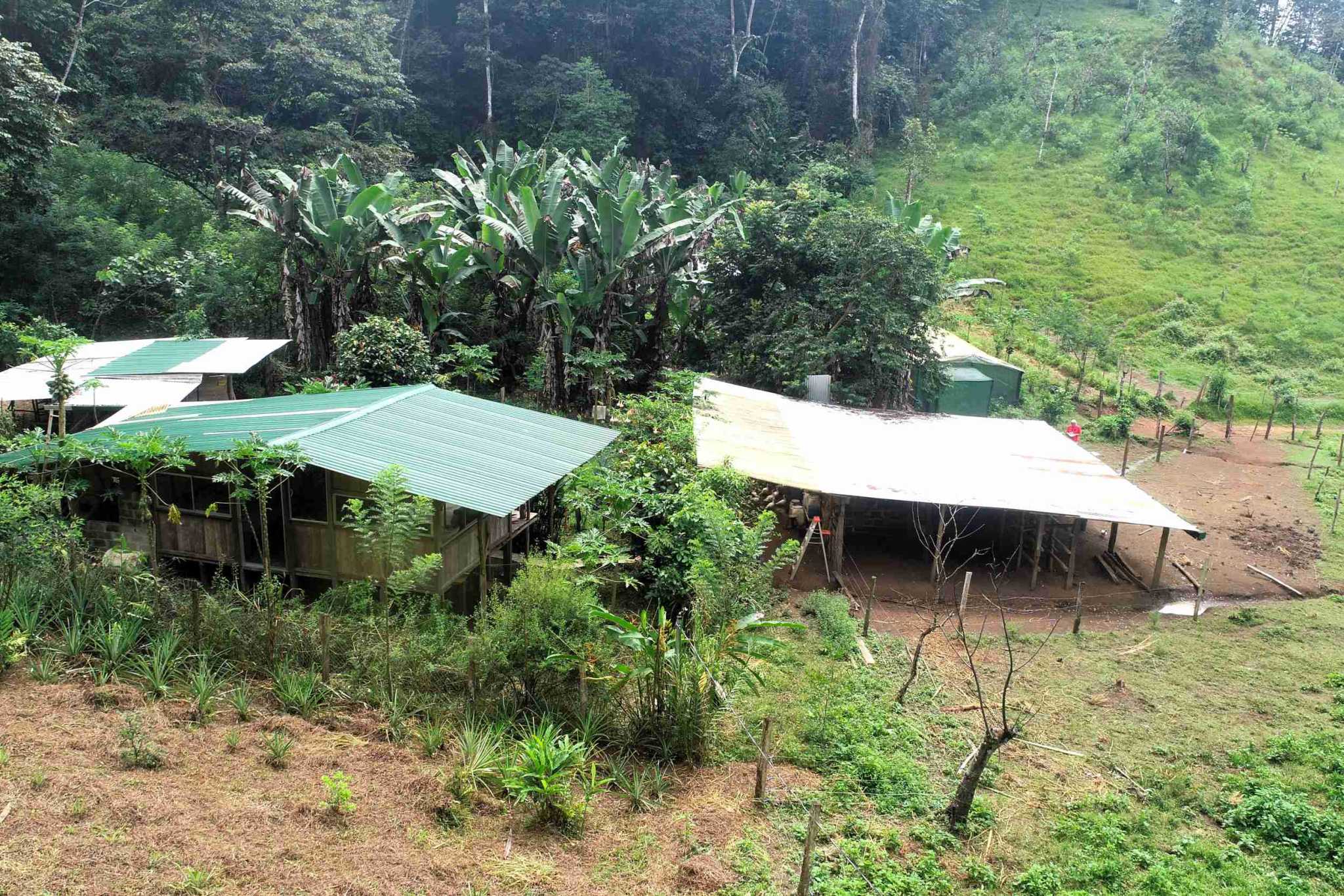 7 (4) Permaculture Farm 26 Hectares with Views & Primary Jungle in Chacarita near Palmar Norte Costa Rica
