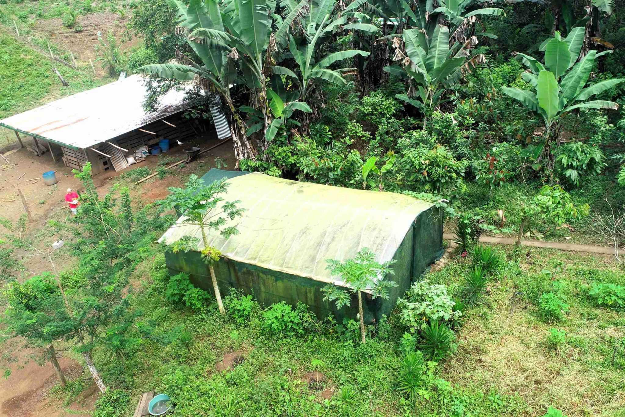 7 (6) Permaculture Farm 26 Hectares with Views & Primary Jungle in Chacarita near Palmar Norte Costa Rica