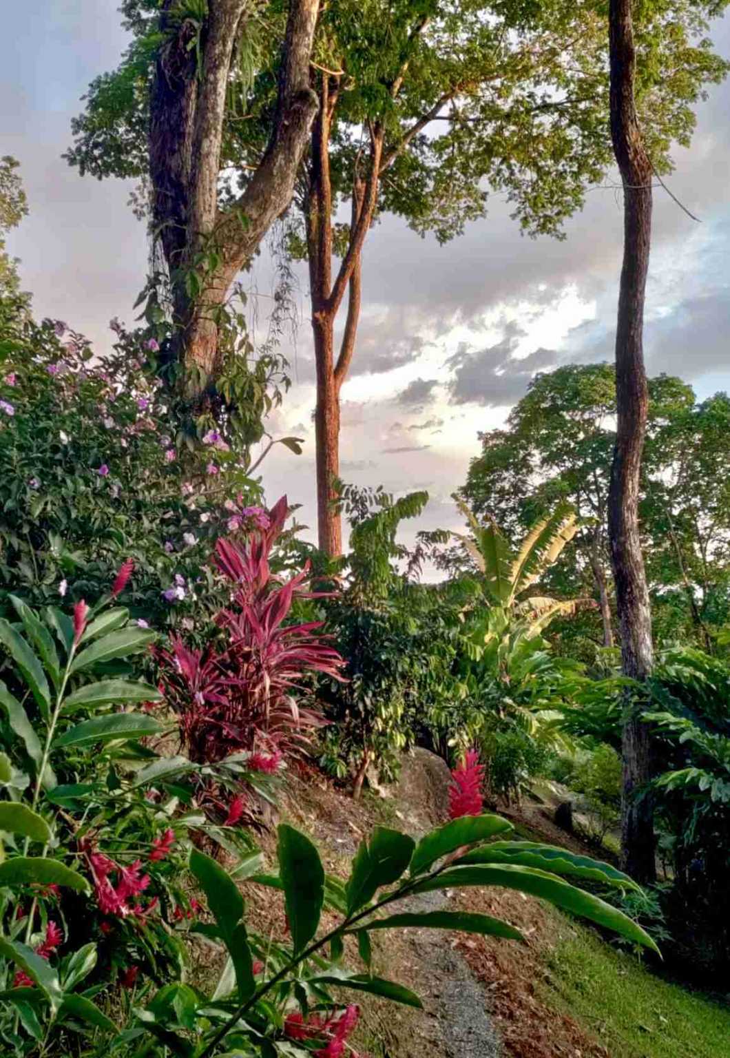 Meraki-34669 (49) Stunning Modern Tropical 3-Bedroom Home with Sweeping Ocean Views in Uvita Costa Rica