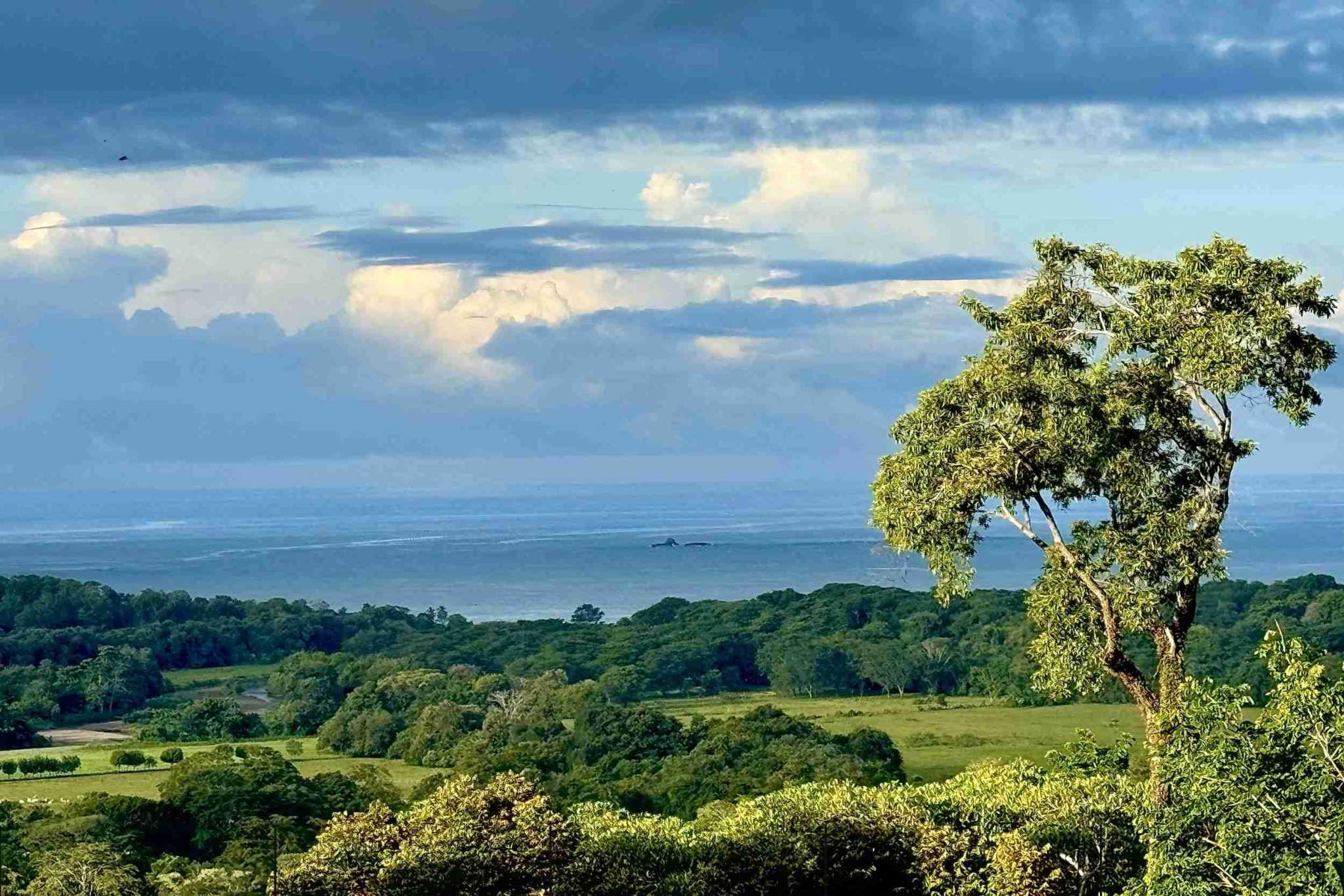 Meraki-34669 (5) Stunning Modern Tropical 3-Bedroom Home with Sweeping Ocean Views in Uvita Costa Rica