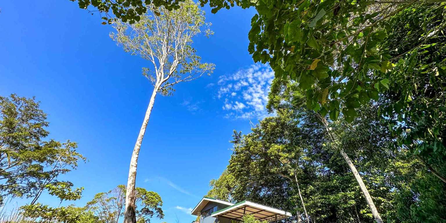 1 (20) Cozy 1-Bedroom Loft Home Perfect for a Couple or an Short-Term Rental Includes Huge Jungle Yard with Year-Round River & Many Magical Swimming Holes & Further Development Options in Ojochal Costa Rica