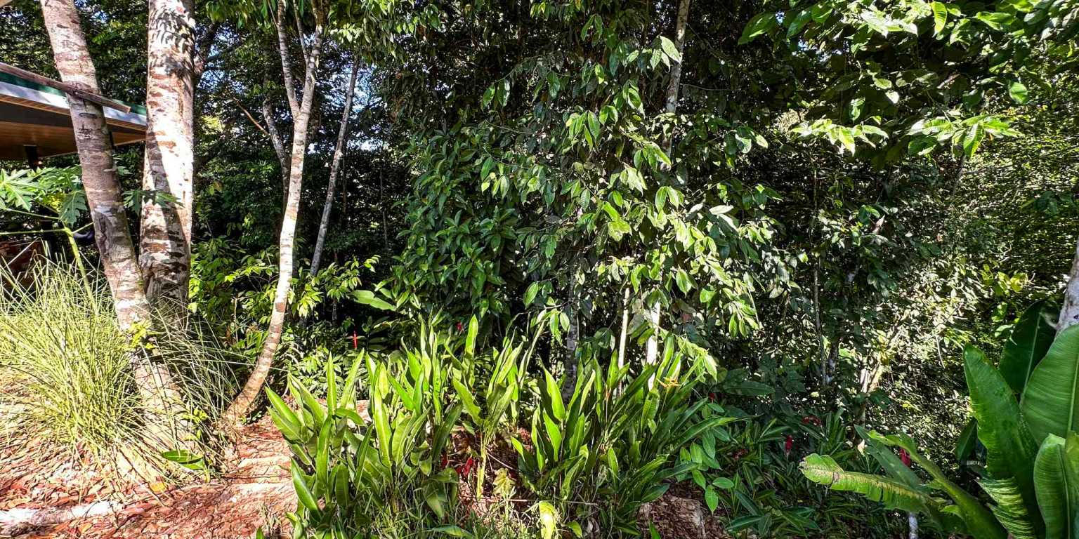 1 (44) Cozy 1-Bedroom Loft Home Perfect for a Couple or an Short-Term Rental Includes Huge Jungle Yard with Year-Round River & Many Magical Swimming Holes & Further Development Options in Ojochal Costa Rica