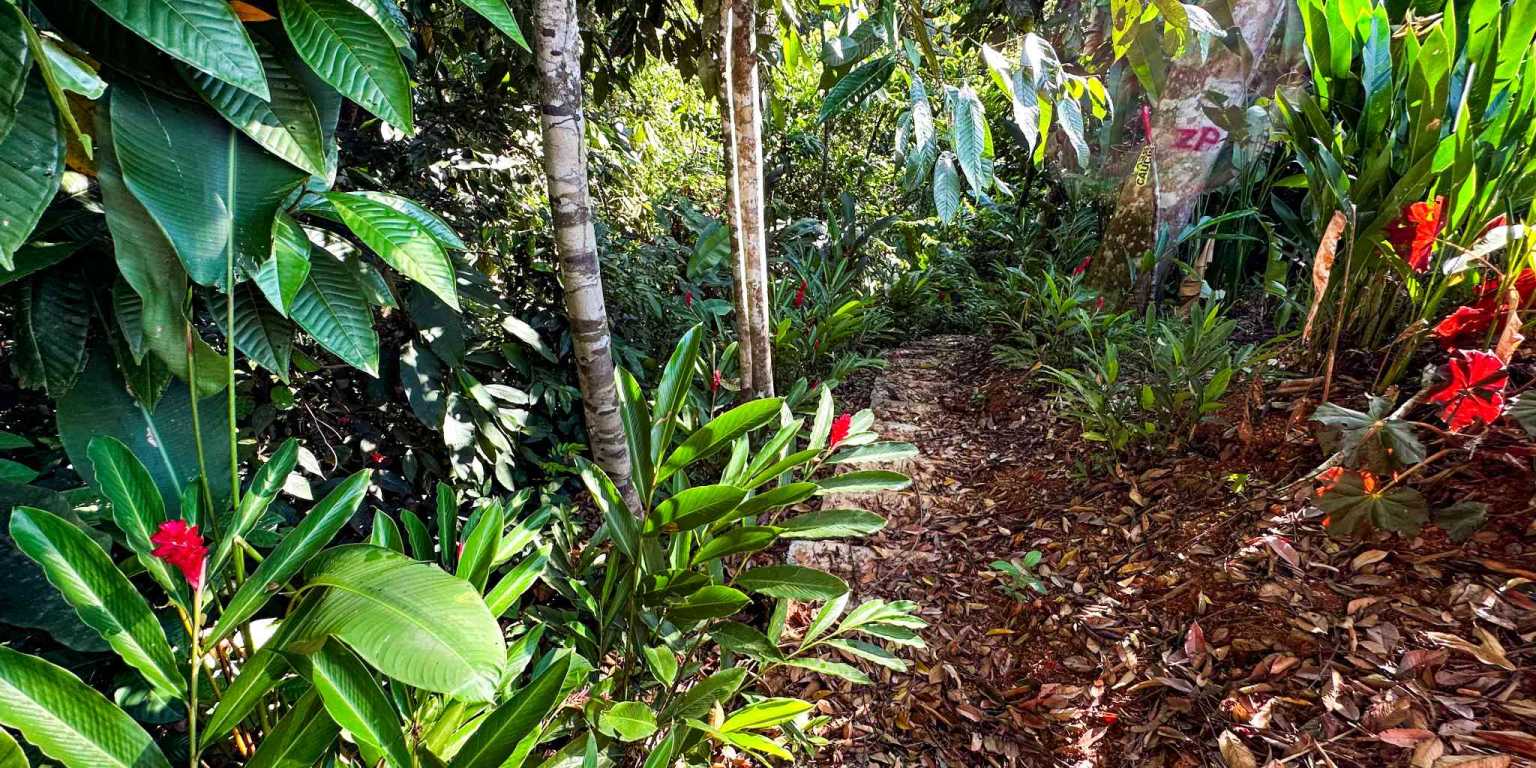 1 (45) Cozy 1-Bedroom Loft Home Perfect for a Couple or an Short-Term Rental Includes Huge Jungle Yard with Year-Round River & Many Magical Swimming Holes & Further Development Options in Ojochal Costa Rica