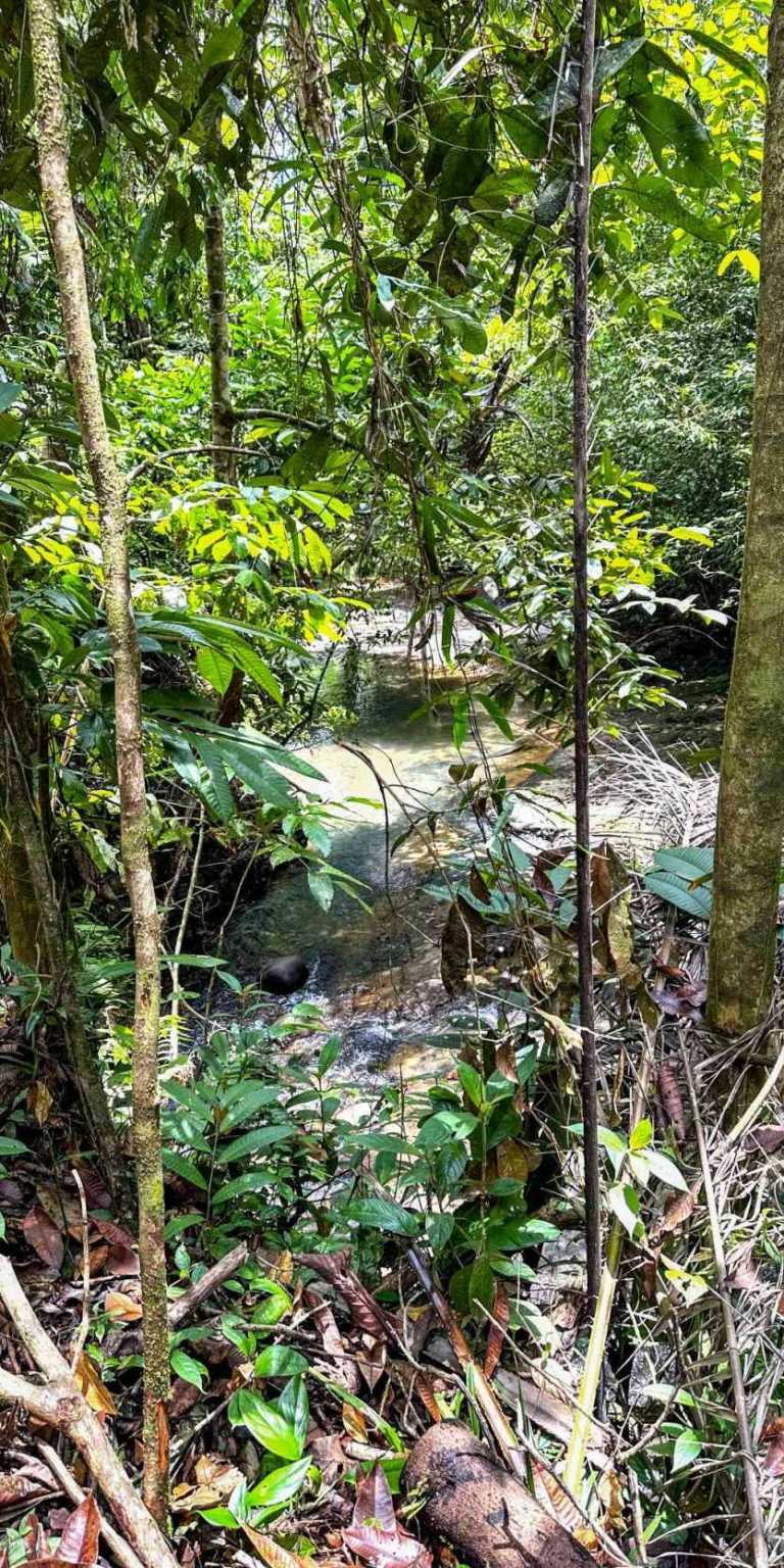 100 (12) 1 Cozy 1-Bedroom Loft Home Perfect for a Couple or an Short-Term Rental Includes Huge Jungle Yard with Year-Round River & Many Magical Swimming Holes & Further Development Options in Ojochal Costa Rica