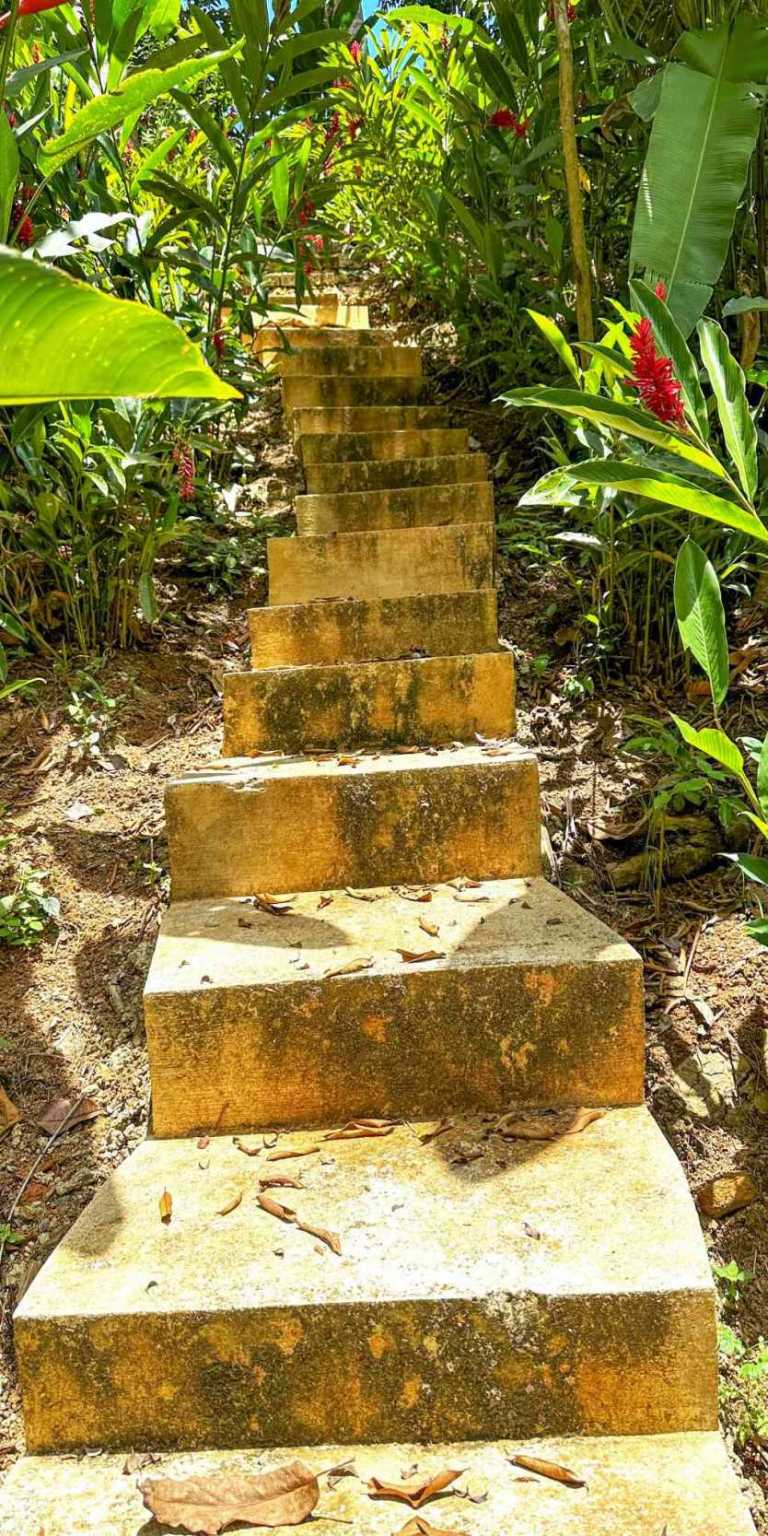 100 (20) 1 Cozy 1-Bedroom Loft Home Perfect for a Couple or an Short-Term Rental Includes Huge Jungle Yard with Year-Round River & Many Magical Swimming Holes & Further Development Options in Ojochal Costa Rica