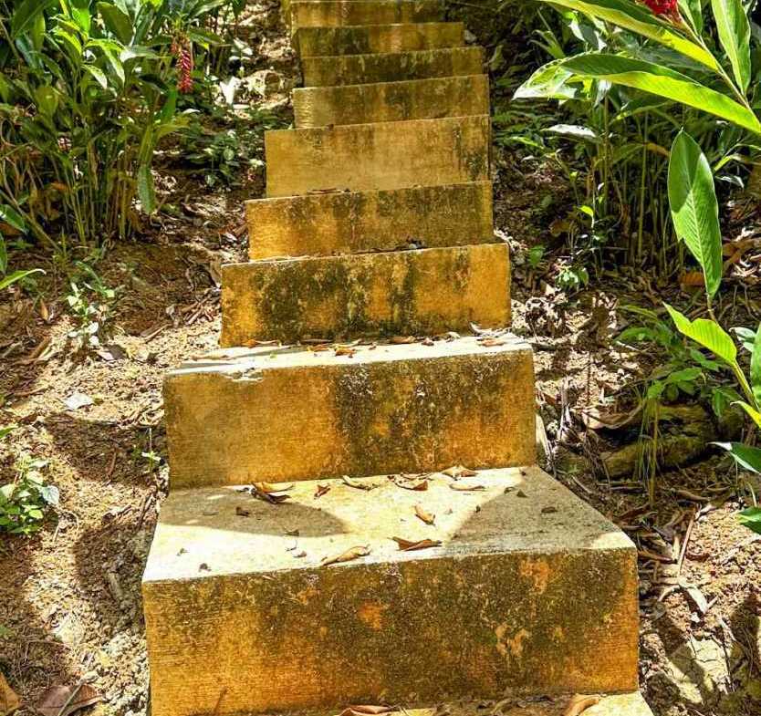 834