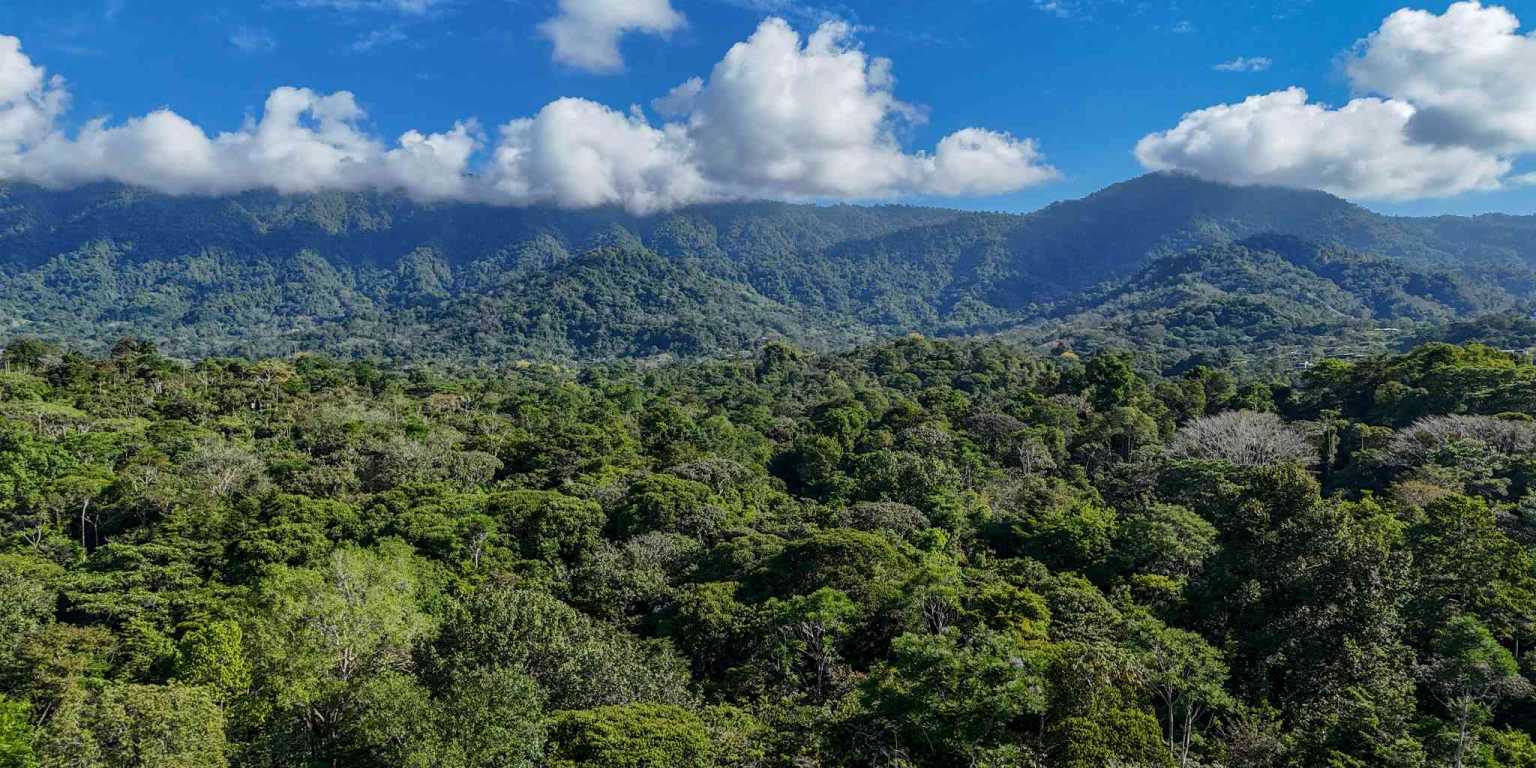 1 (2) Cozy 1-Bedroom Loft Home Perfect for a Couple or an Short-Term Rental Includes Huge Jungle Yard with Year-Round River & Many Magical Swimming Holes & Further Development Options in Ojochal Costa Rica