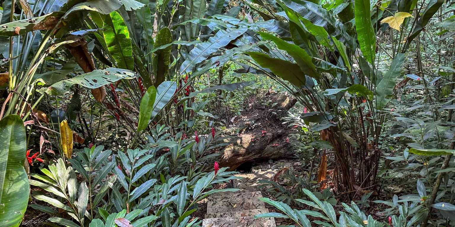 1 (49) Cozy 1-Bedroom Loft Home Perfect for a Couple or an Short-Term Rental Includes Huge Jungle Yard with Year-Round River & Many Magical Swimming Holes & Further Development Options in Ojochal Costa Rica