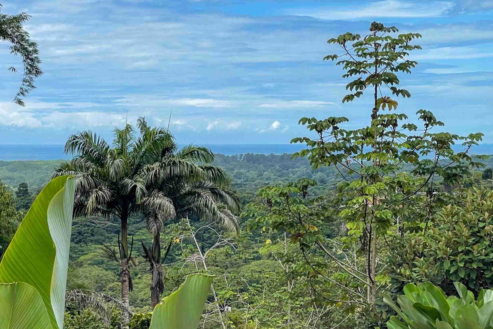 Harmonious Modern Uvita Luxury Home with Infinity Pool, Ocean Views & Rental Options in Uvita Costa Rica