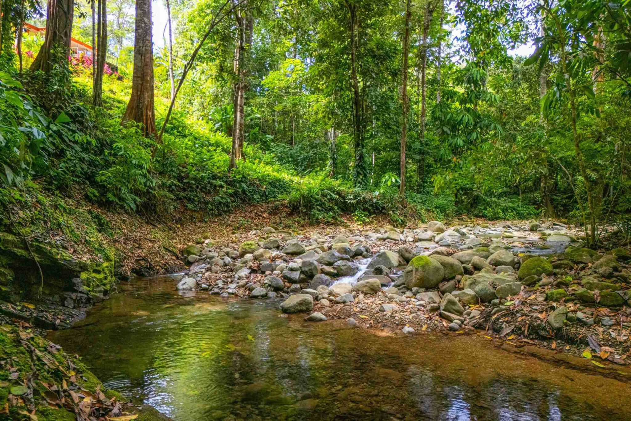 Ojochal Costa Rica Home For Sale 3-Bedroom Jungle & River Home Ojochal Costa Rica Home For Sale 3-Bedroom Jungle & River Home