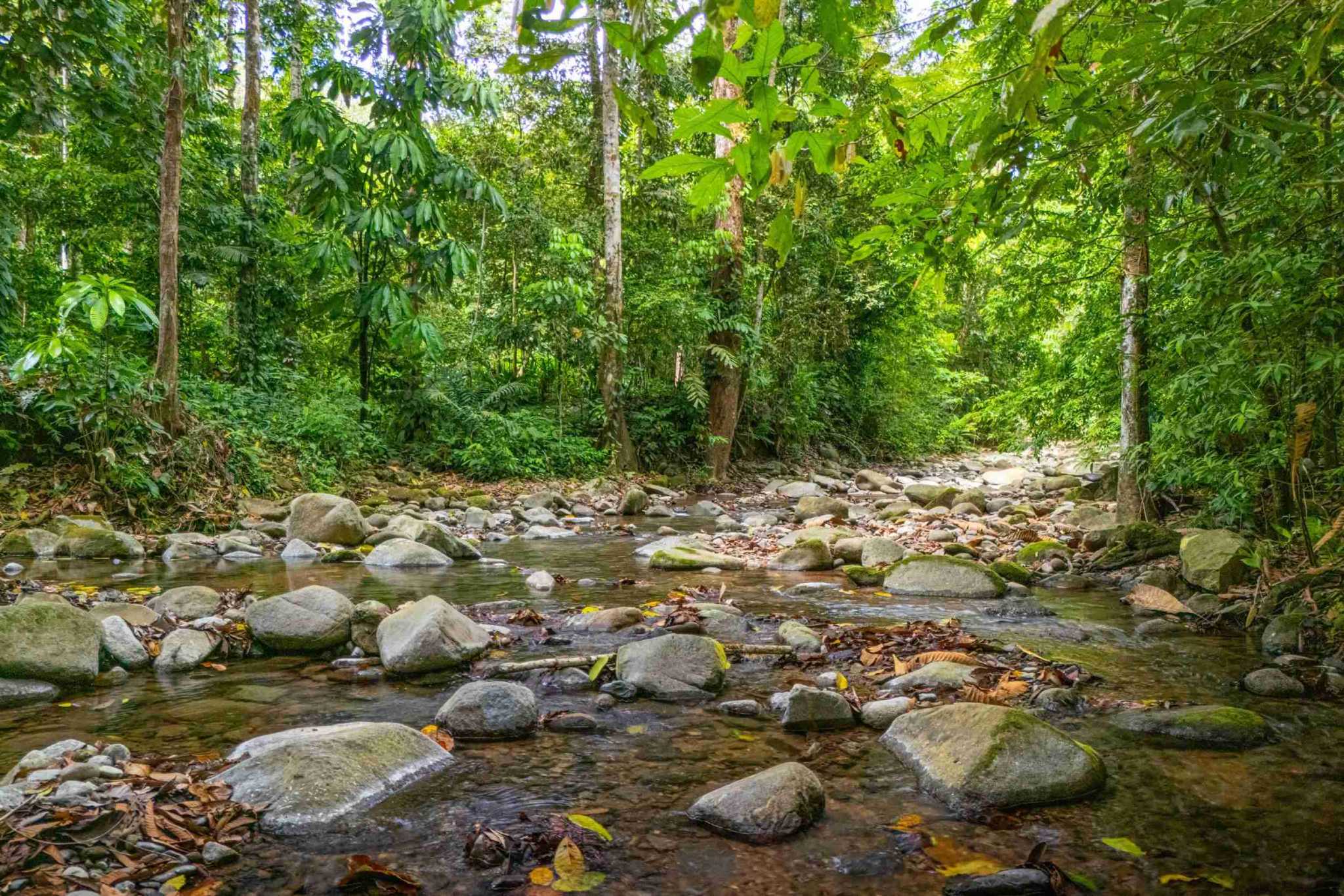 Ojochal Costa Rica Home For Sale 3-Bedroom Jungle & River Home Ojochal Costa Rica Home For Sale 3-Bedroom Jungle & River Home
