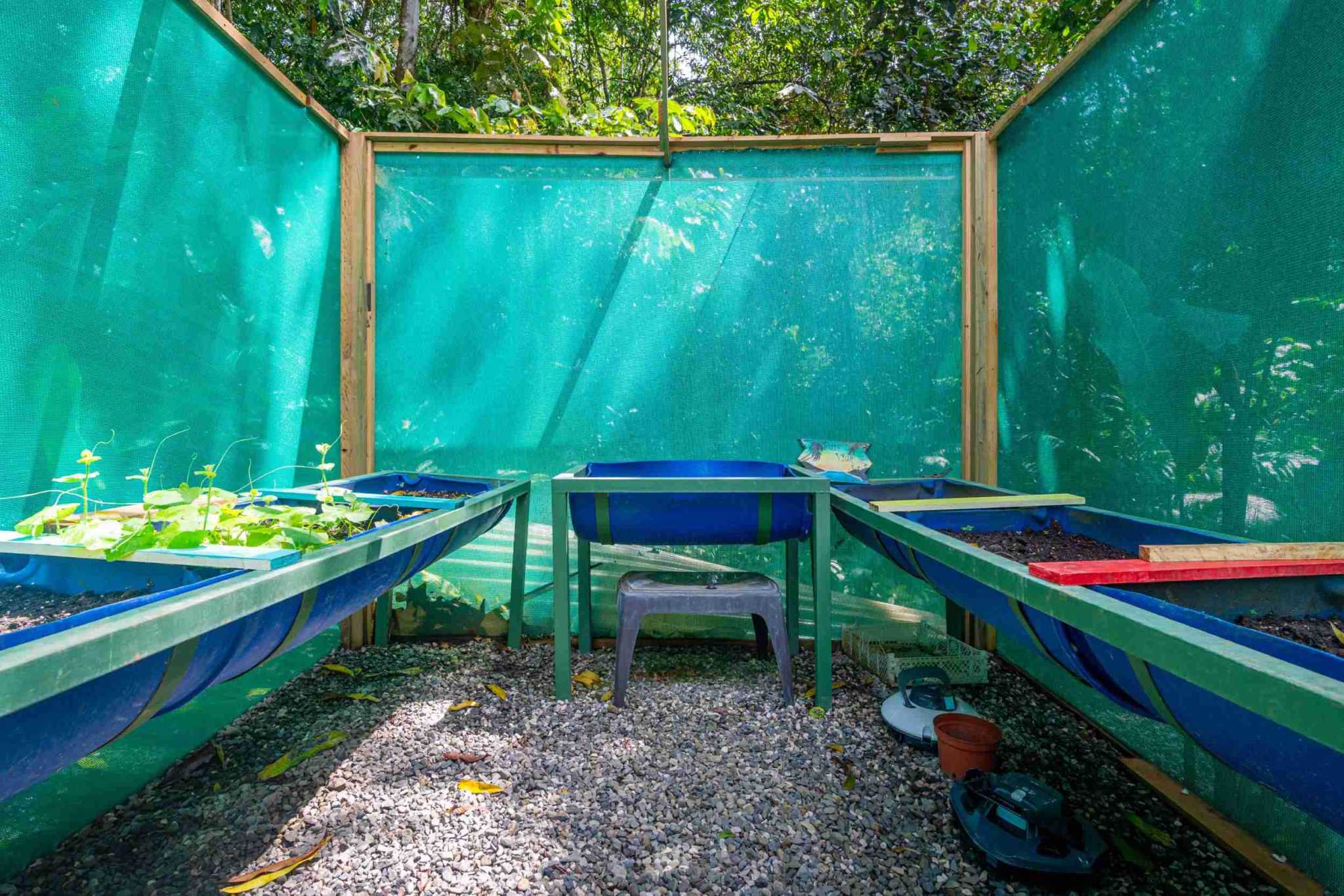 Ojochal Costa Rica Home For Sale 3-Bedroom Jungle & River Home Ojochal Costa Rica Home For Sale 3-Bedroom Jungle & River Home