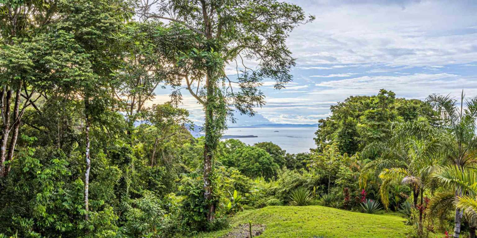 ConeCat-01(1) Exclusive Unique 6-Bedroom Estate with Incredible Coastline Views in Escaleras near Dominical Costa Rica