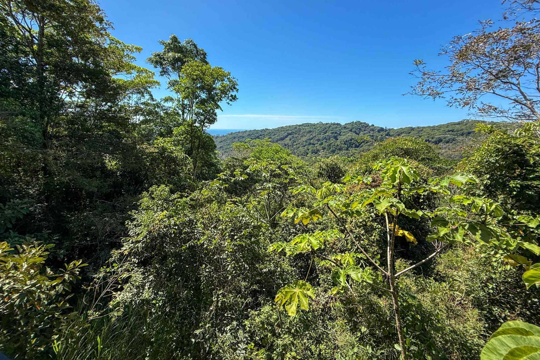 35756 (24) Totally Remodeled Coastal Jungle 2-Bedroom Sanctuary Home with Valley & Ocean Views in Lagunas above Dominical Costa Rica