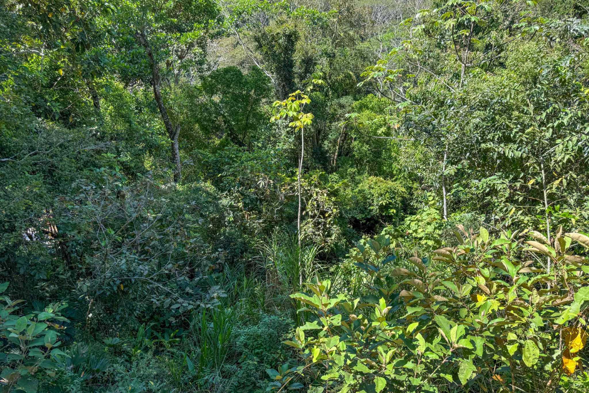 35756 (29) Totally Remodeled Coastal Jungle 2-Bedroom Sanctuary Home with Valley & Ocean Views in Lagunas above Dominical Costa Rica