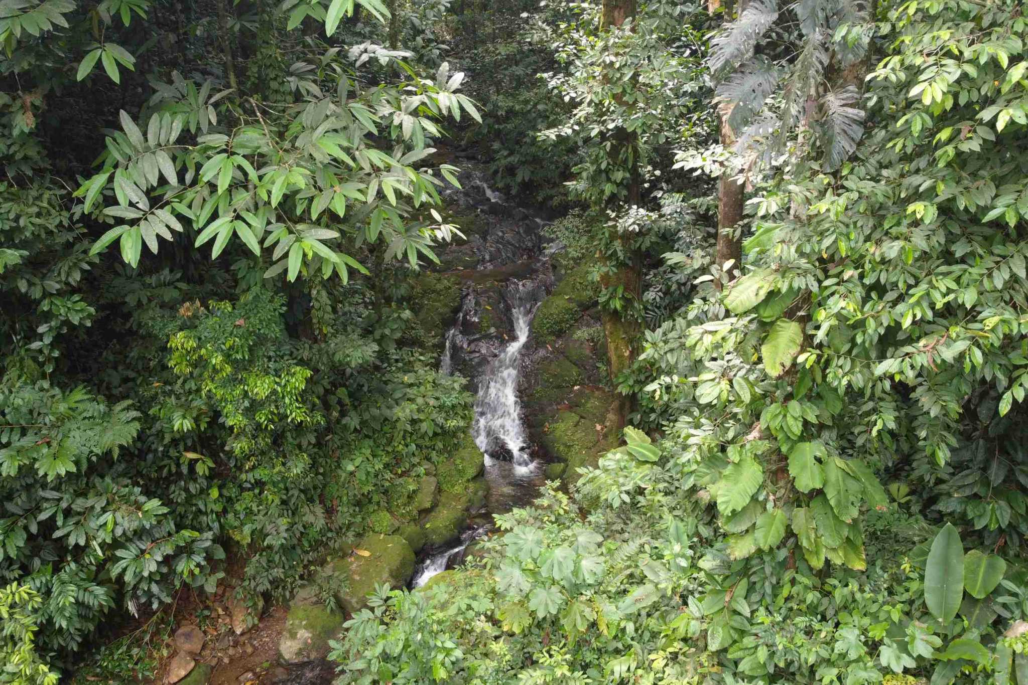 Very Private Mountain View 3-Bedroom Home in Ojochal Costa Rica