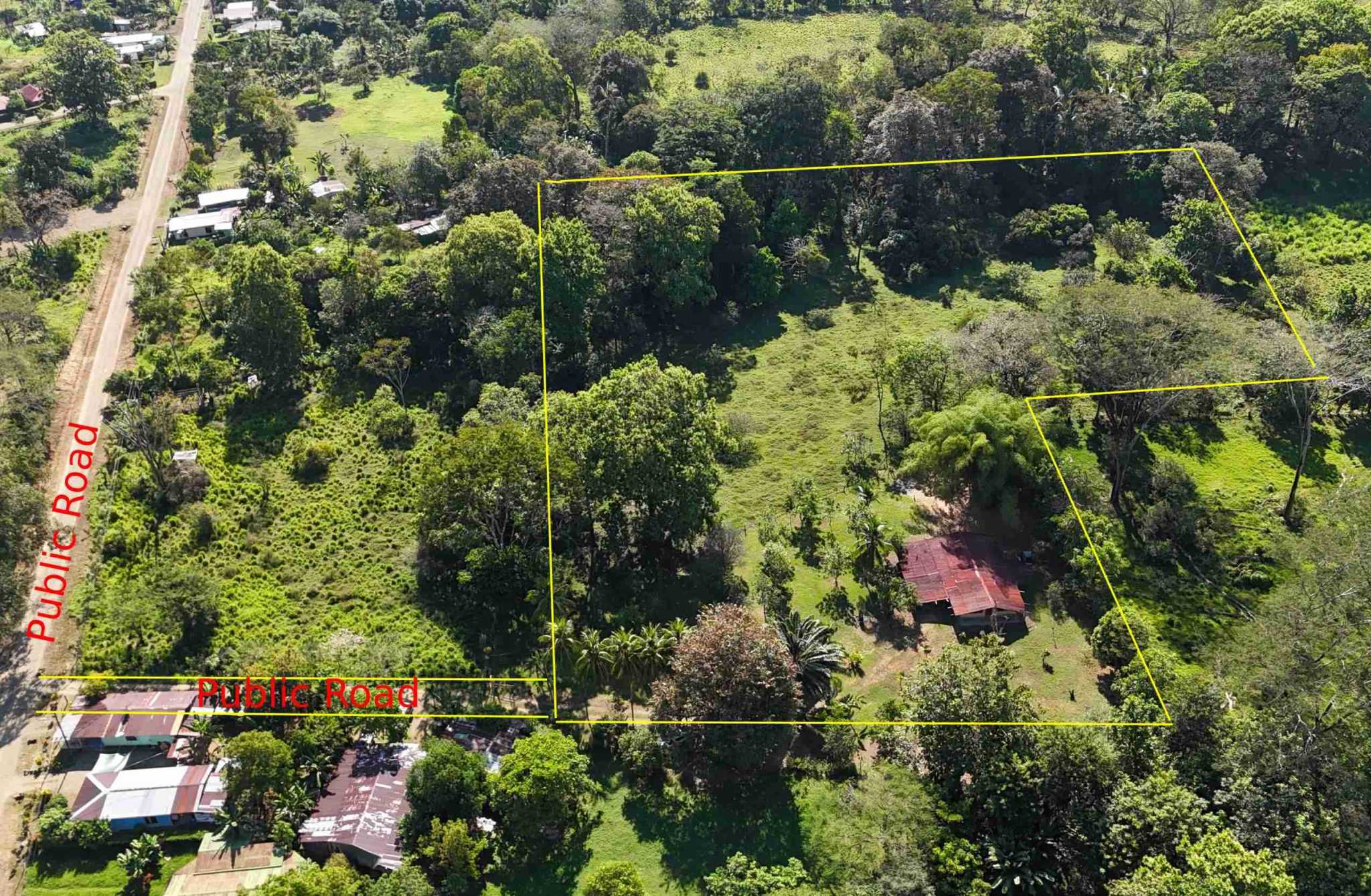 Coronado-fruitfarm- (11) Fruit Farm for sale in Ojochal Costa Rica