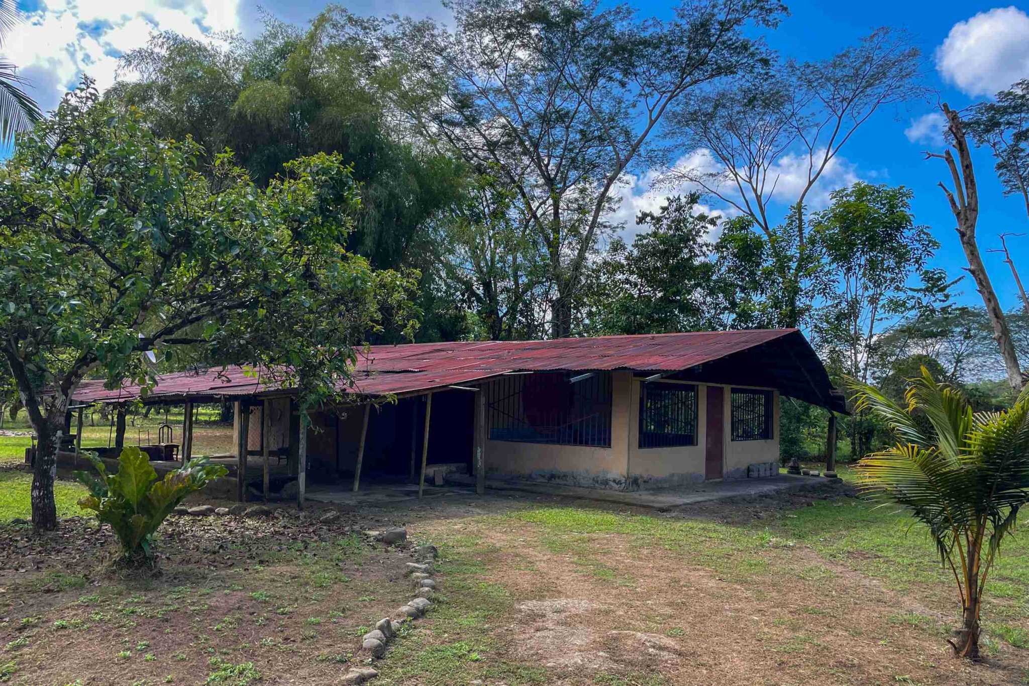 Coronado-fruitfarm- (22) Fruit Farm for sale in Ojochal Costa Rica