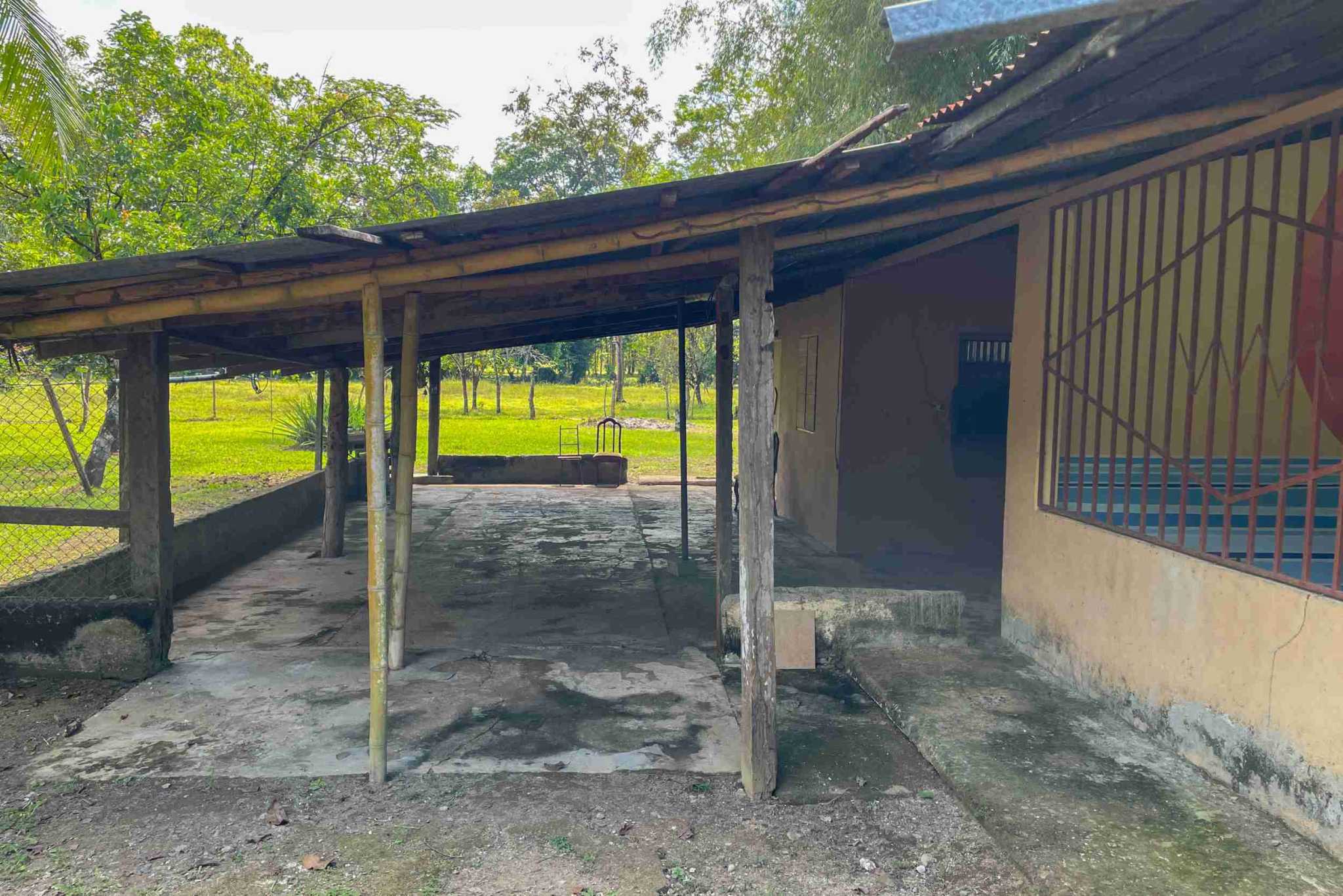Coronado-fruitfarm- (24) Fruit Farm for sale in Ojochal Costa Rica