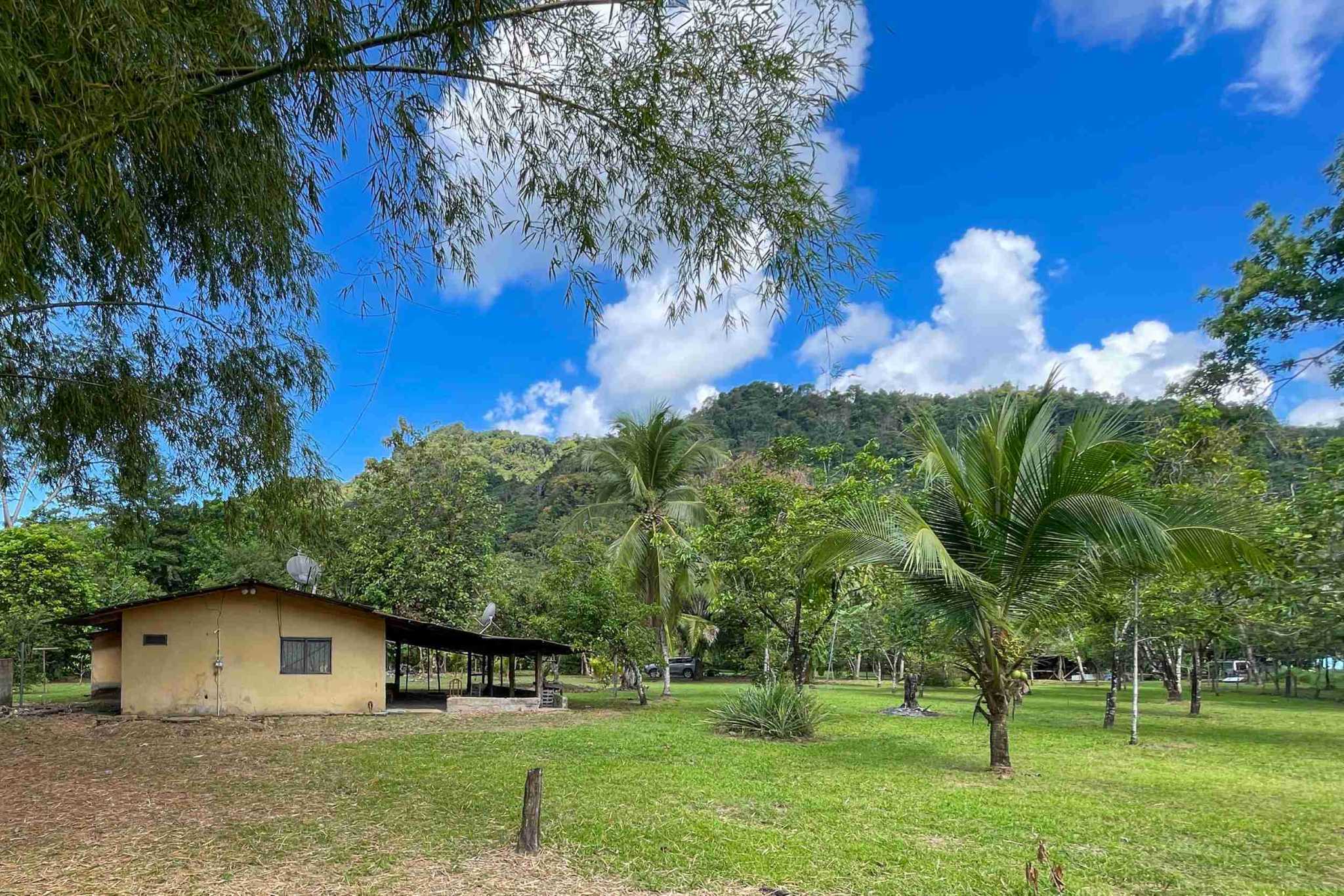 Coronado-fruitfarm- (25) Fruit Farm for sale in Ojochal Costa Rica