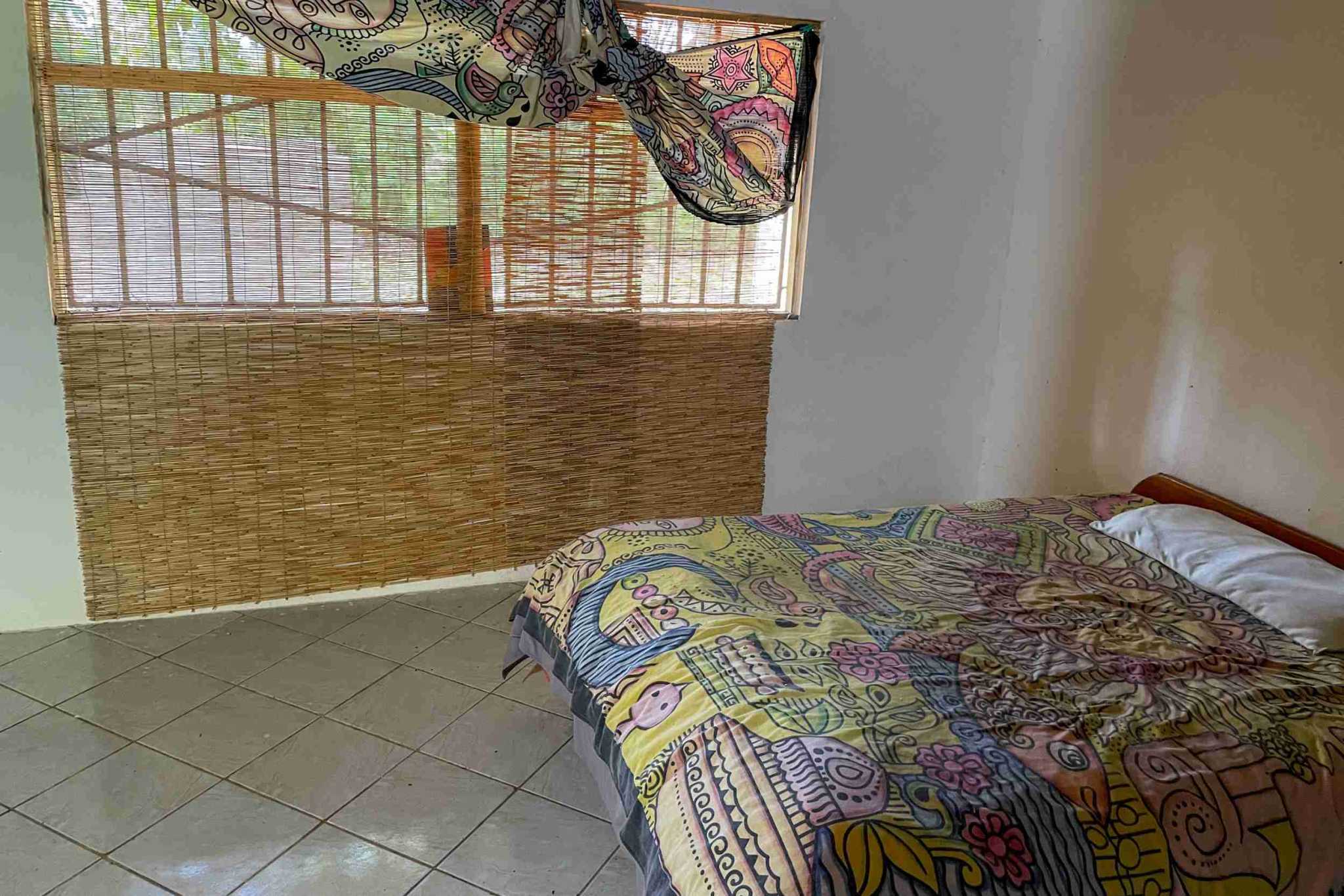 Coronado-fruitfarm- (28) Fruit Farm for sale in Ojochal Costa Rica