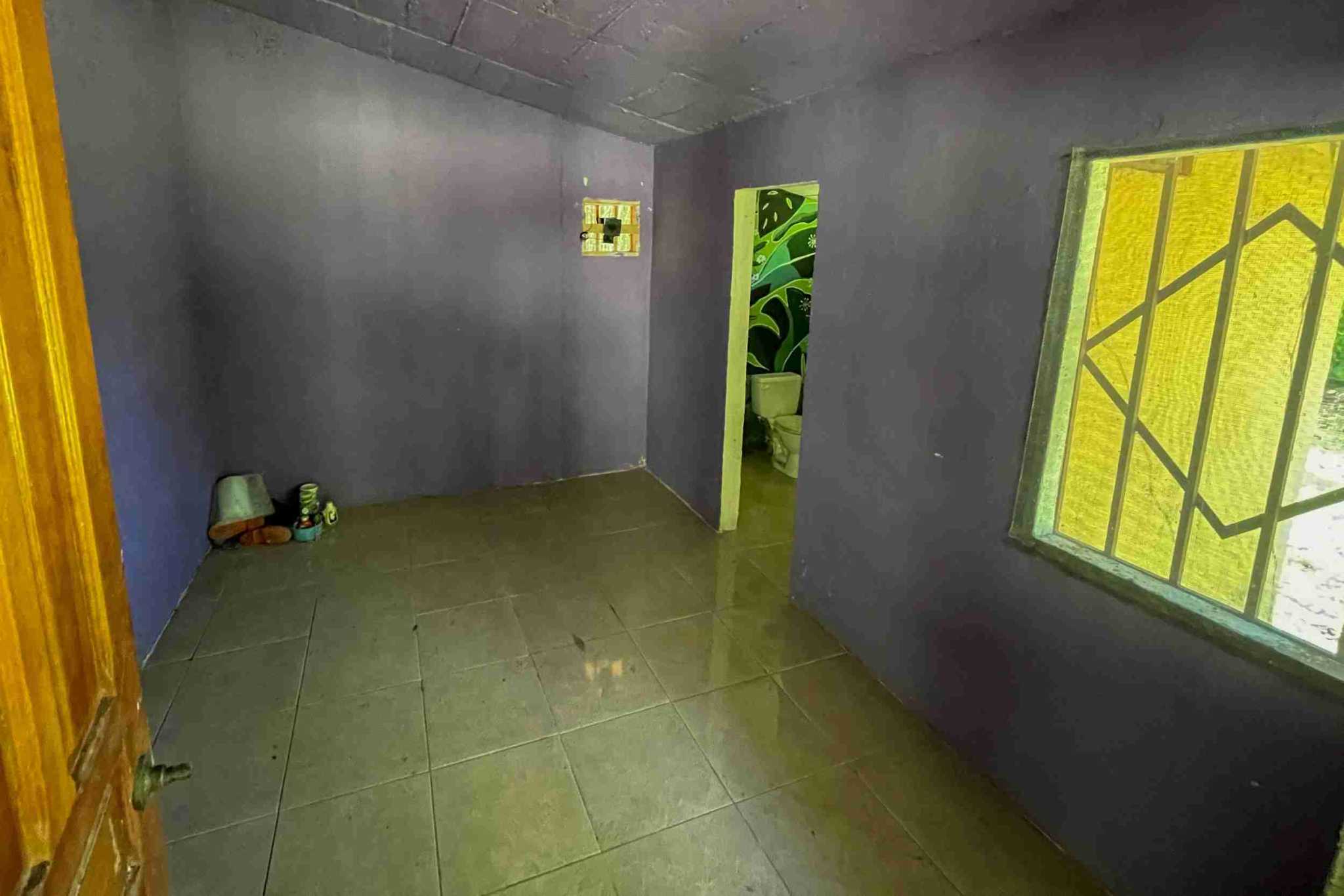 Coronado-fruitfarm- (33) Fruit Farm for sale in Ojochal Costa Rica