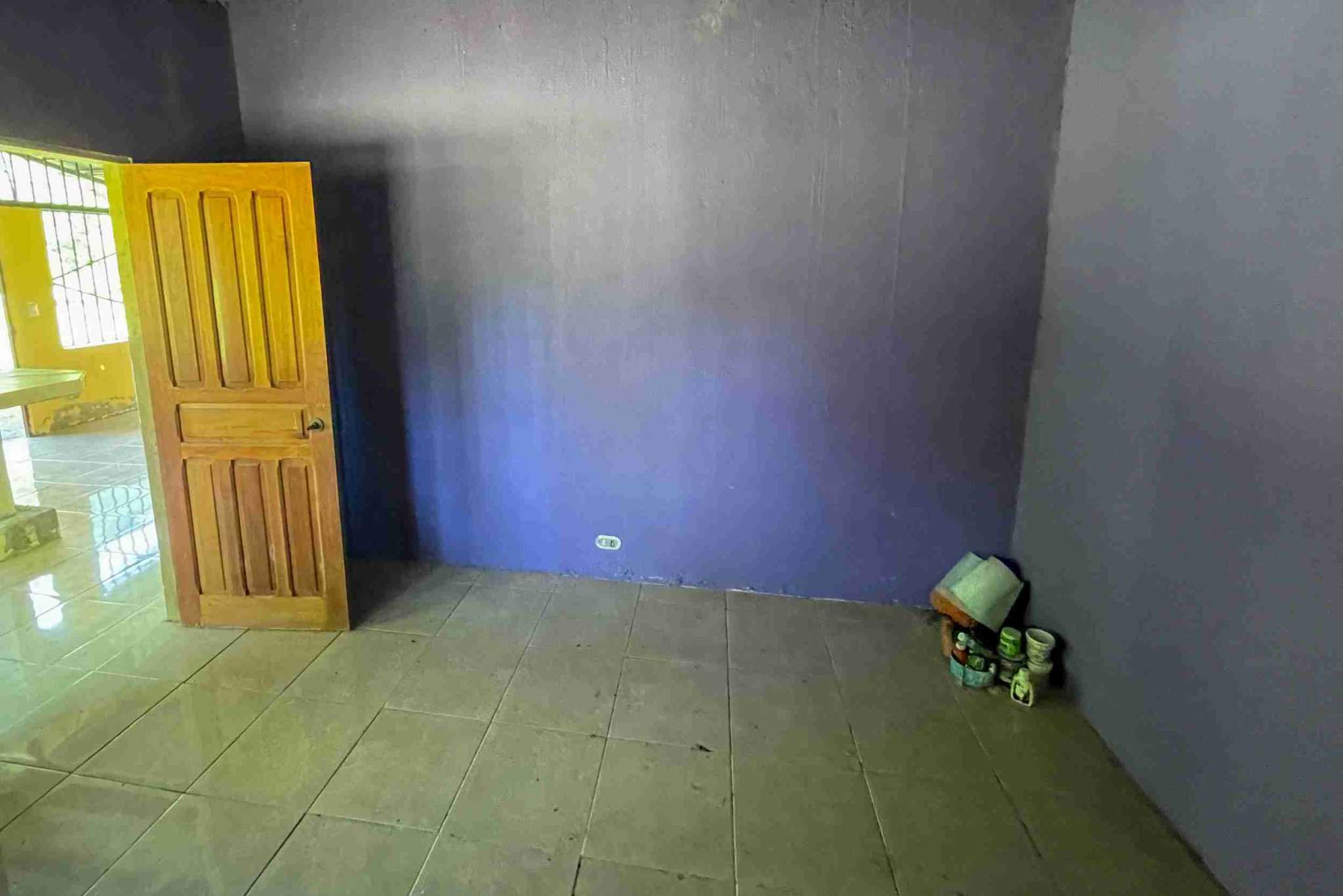 Coronado-fruitfarm- (34) Fruit Farm for sale in Ojochal Costa Rica