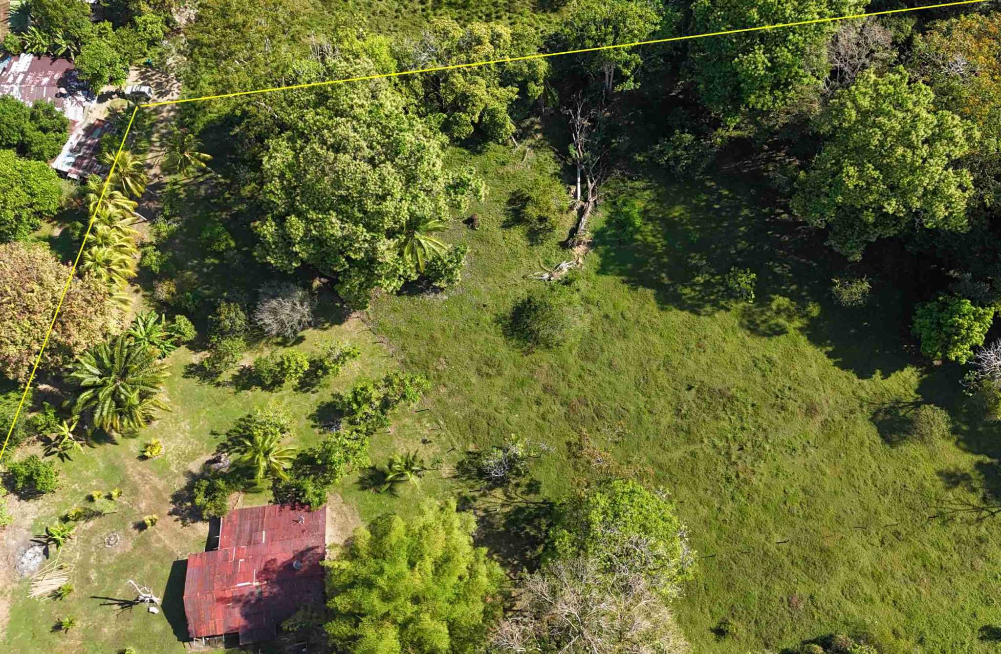 Coronado-fruitfarm- (42) Fruit Farm for sale in Ojochal Costa Rica