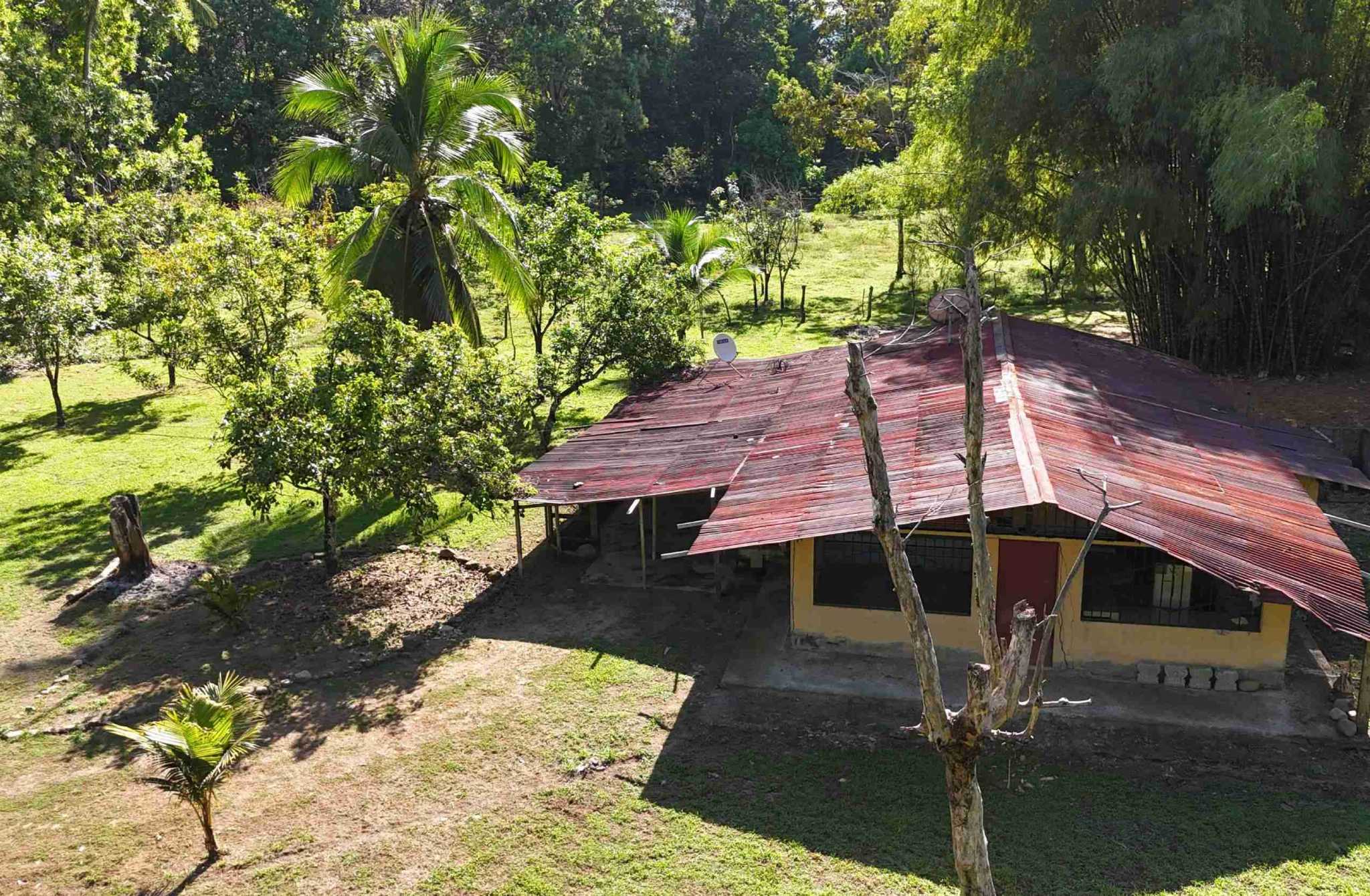 Coronado-fruitfarm- (43) Fruit Farm for sale in Ojochal Costa Rica