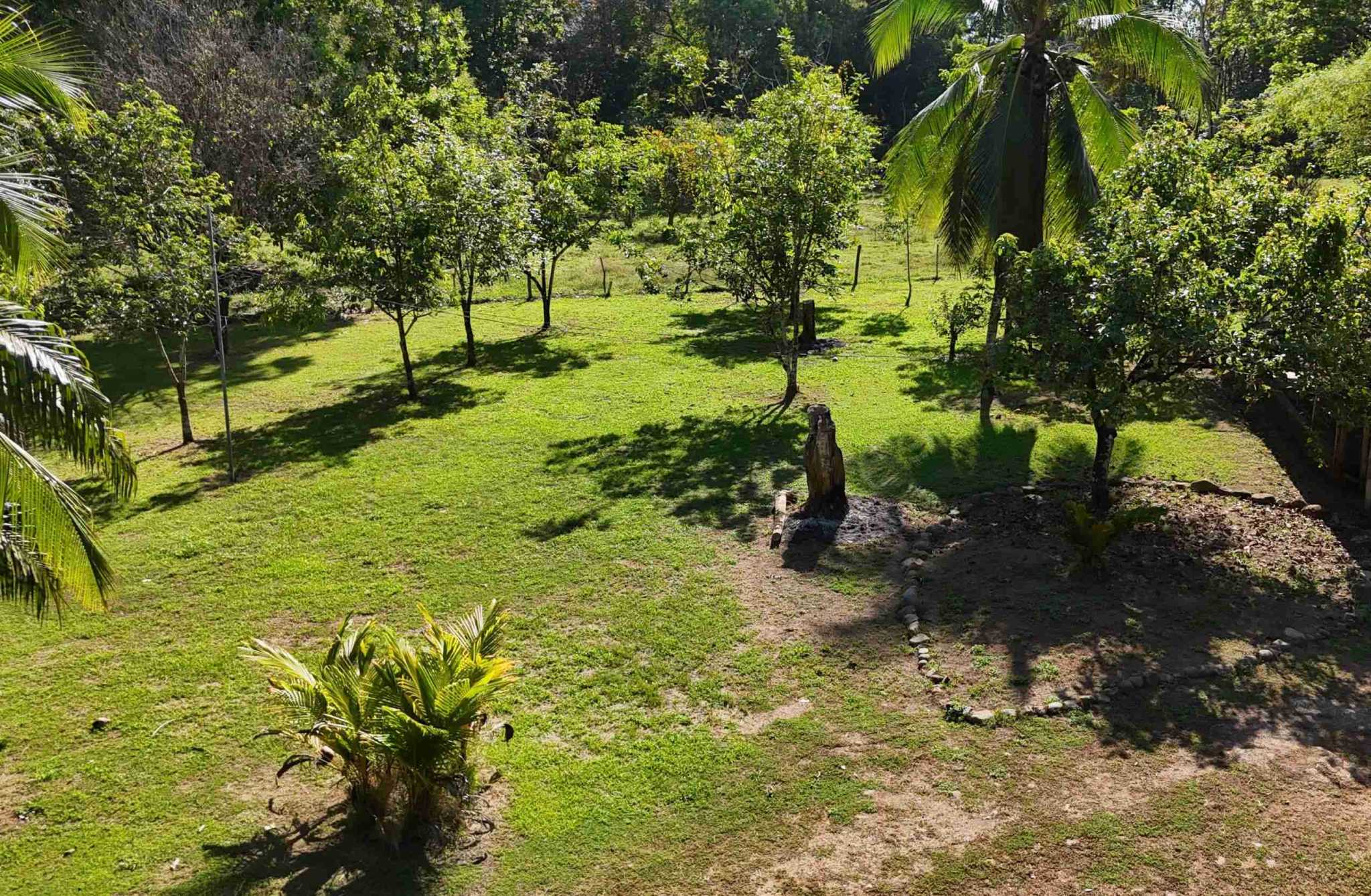 Coronado-fruitfarm- (44) Fruit Farm for sale in Ojochal Costa Rica