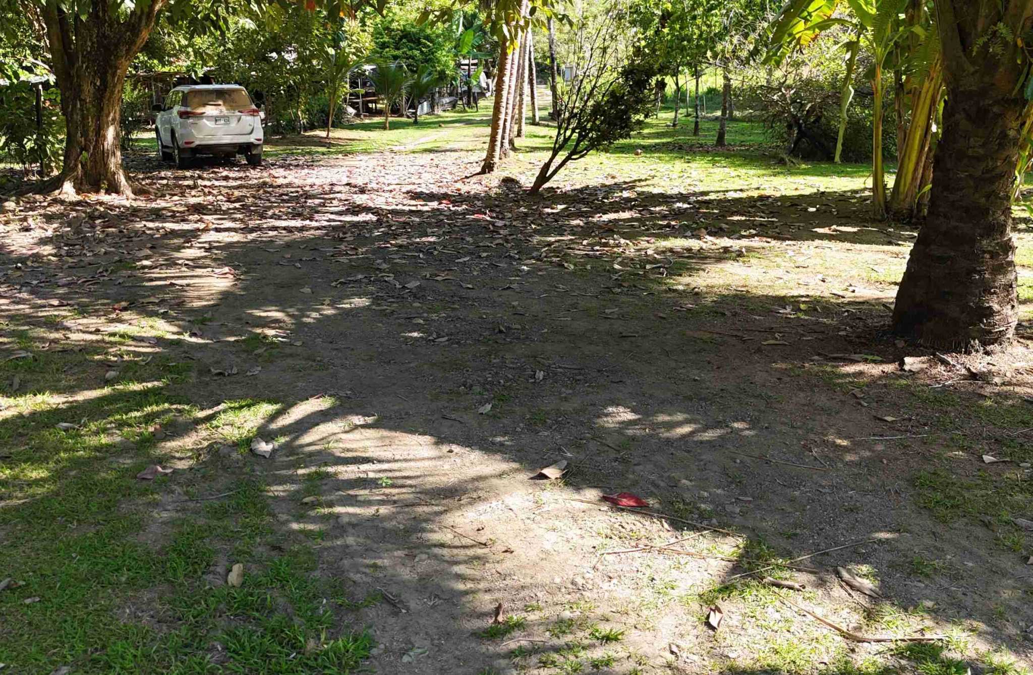 Coronado-fruitfarm- (45) Fruit Farm for sale in Ojochal Costa Rica