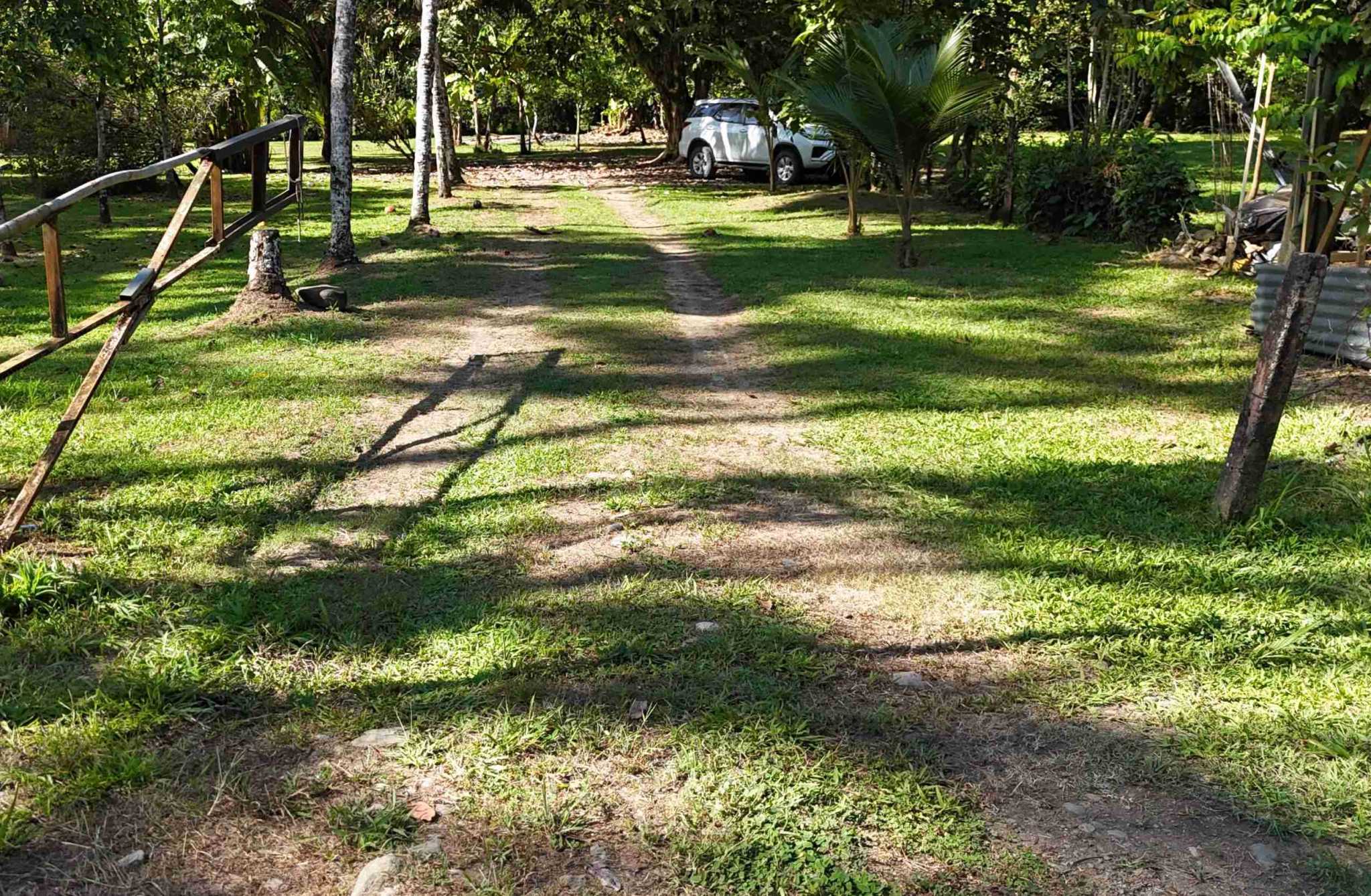 Coronado-fruitfarm- (46) Fruit Farm for sale in Ojochal Costa Rica